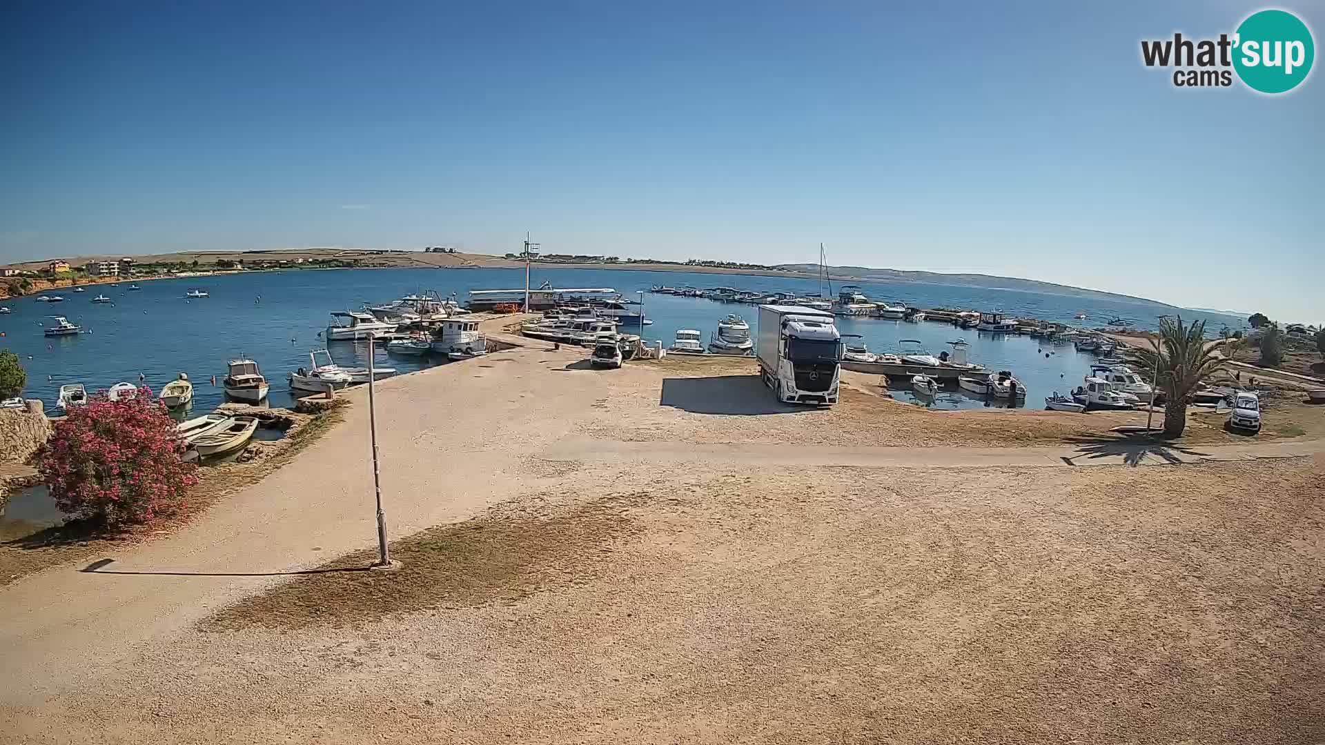 Camera en vivo Povljana – Pag isla