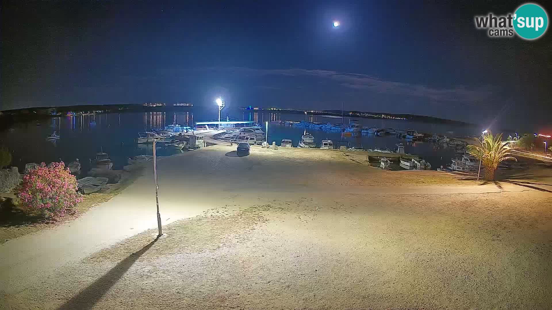 Livecam Pogliana – isola di Pago