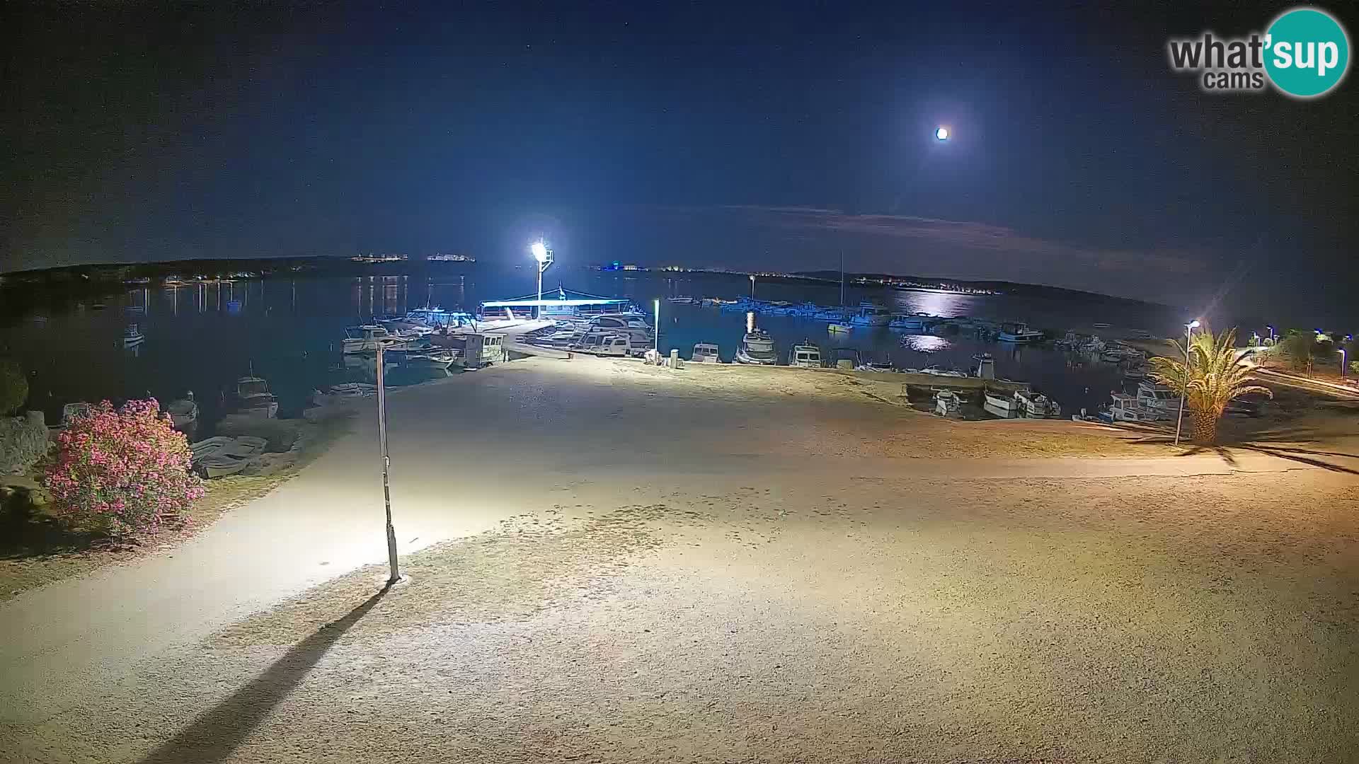 Kamera v živo Povljana – otok Pag