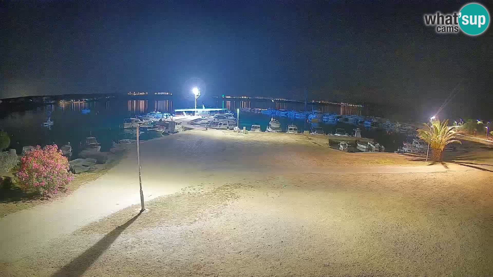 Camera en vivo Povljana – Pag isla