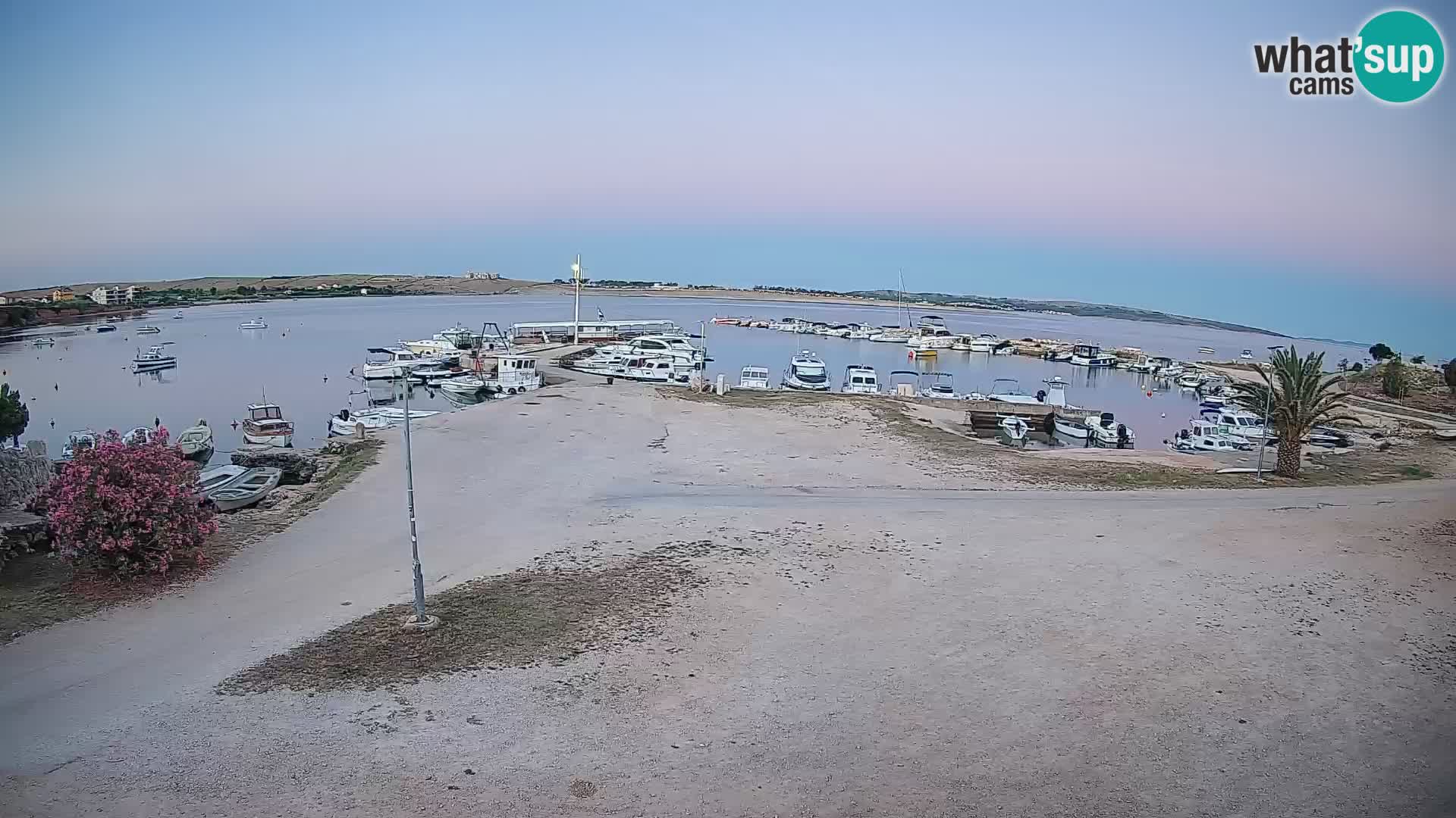 Camera en vivo Povljana – Pag isla