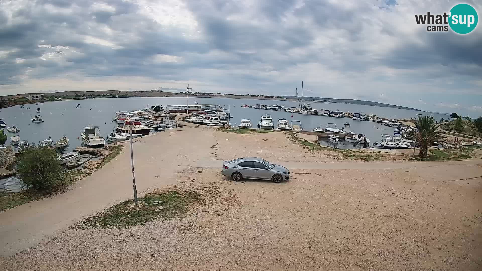 Camera en vivo Povljana – Pag isla