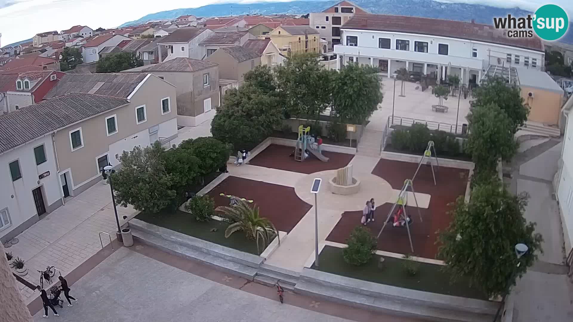 Pogliana Live webcam – isola di Pago
