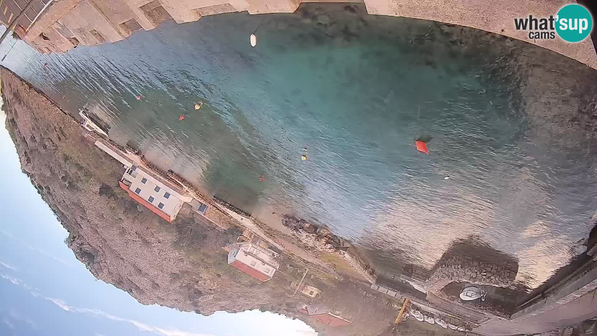 Web kamera trajektna luka Prizna – prema otoku Pag