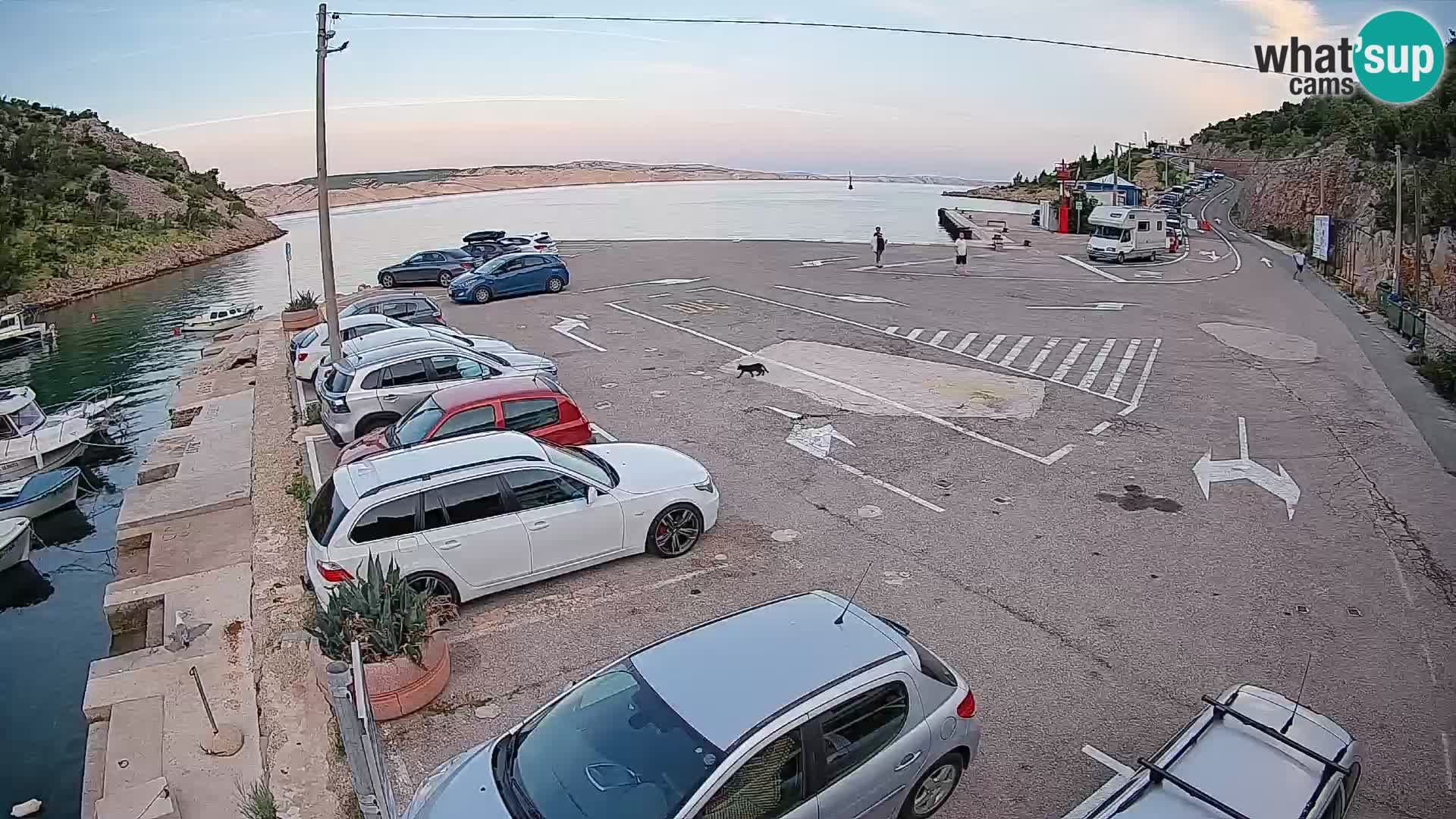 Webcam Prizna ferry port to Pag island