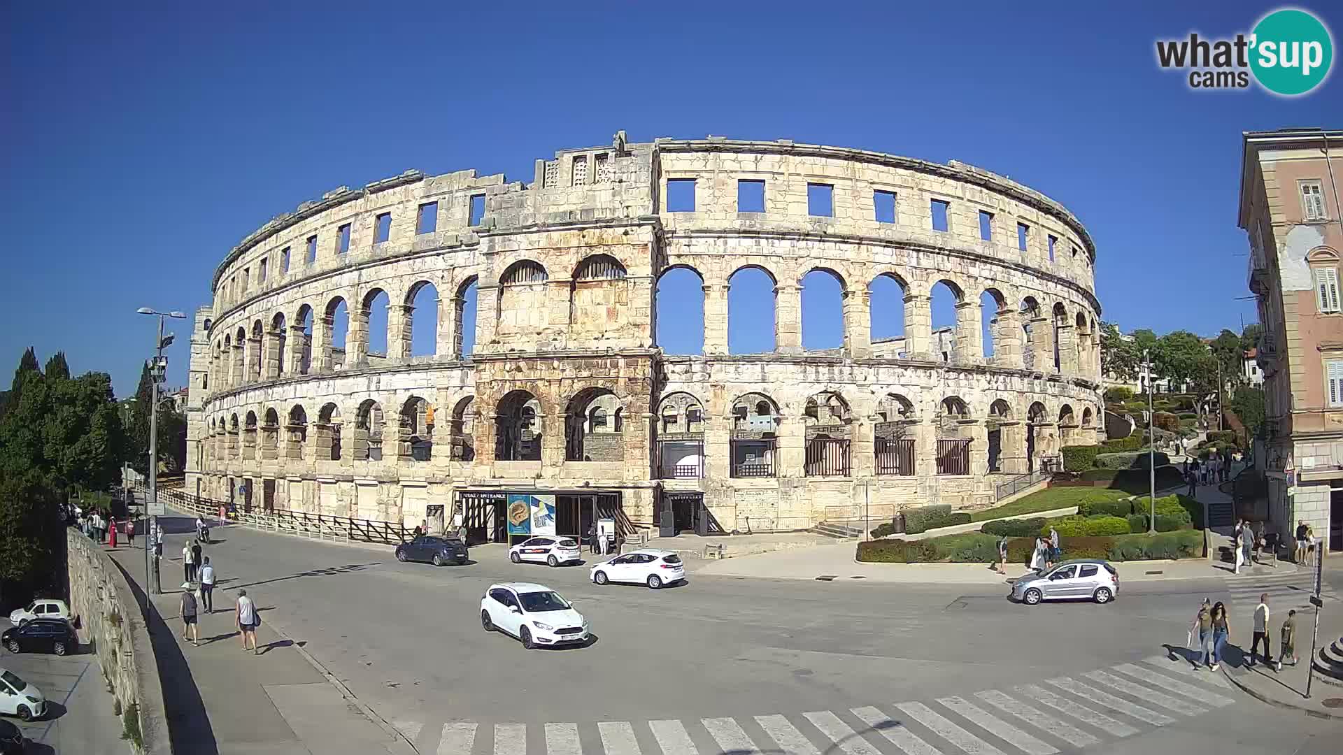 Pola
