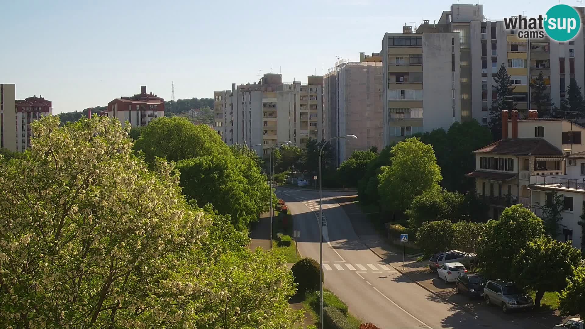 Webcam Pula – Rue Koper – Caméra en direct Istrie