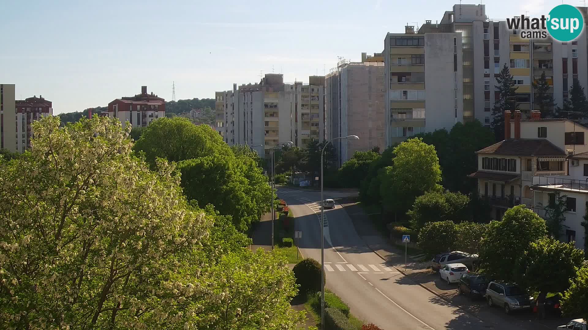 Pula webcam – Koper street – live cam Istria