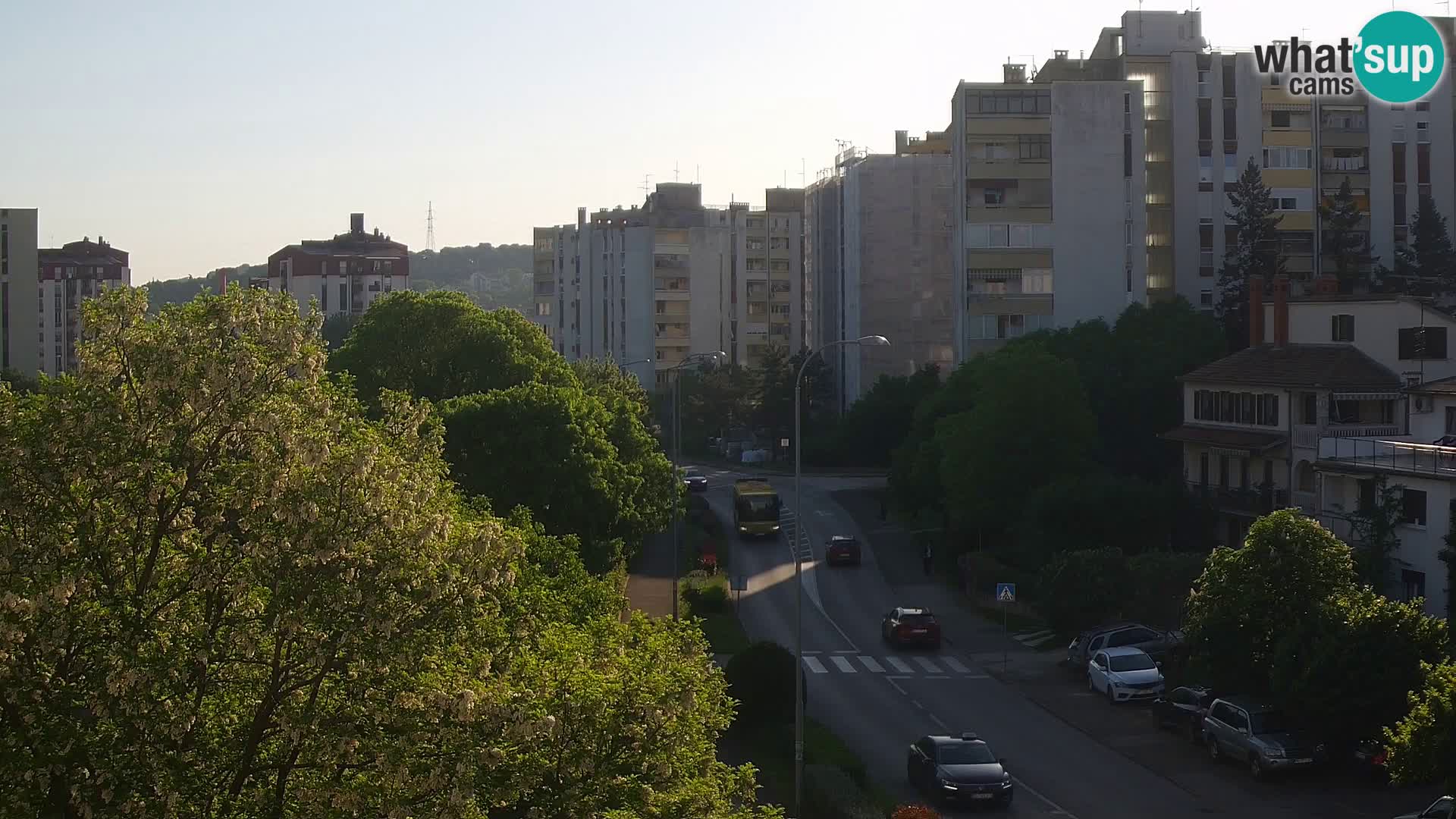 Pula web kamera – Koparska ulica – kamera uživo Istra