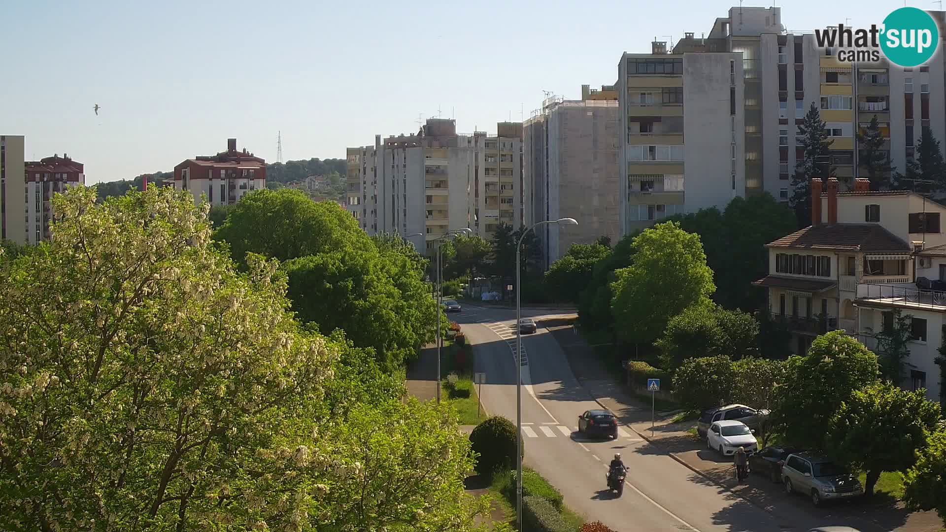 Pula spletna kamera – Koperska ulica – Istra v živo