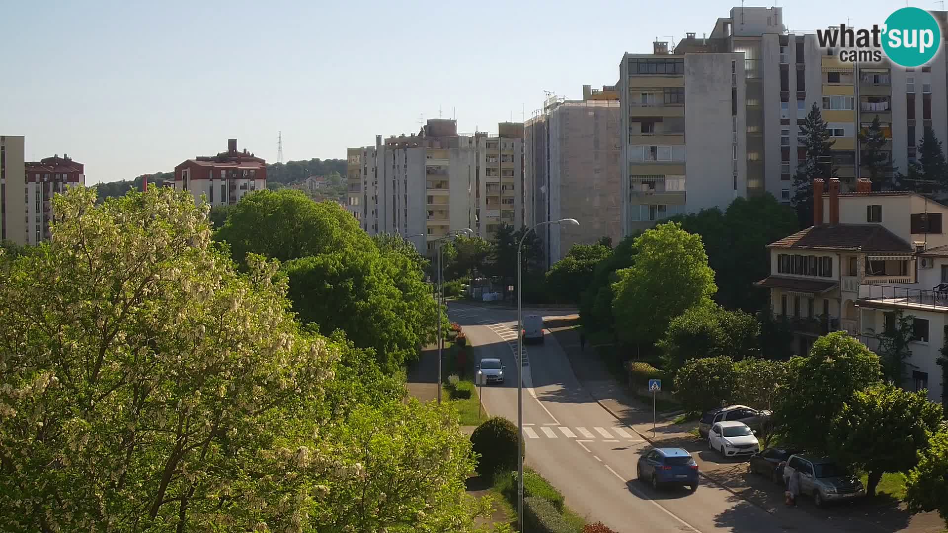Webcam Pula – Rue Koper – Caméra en direct Istrie