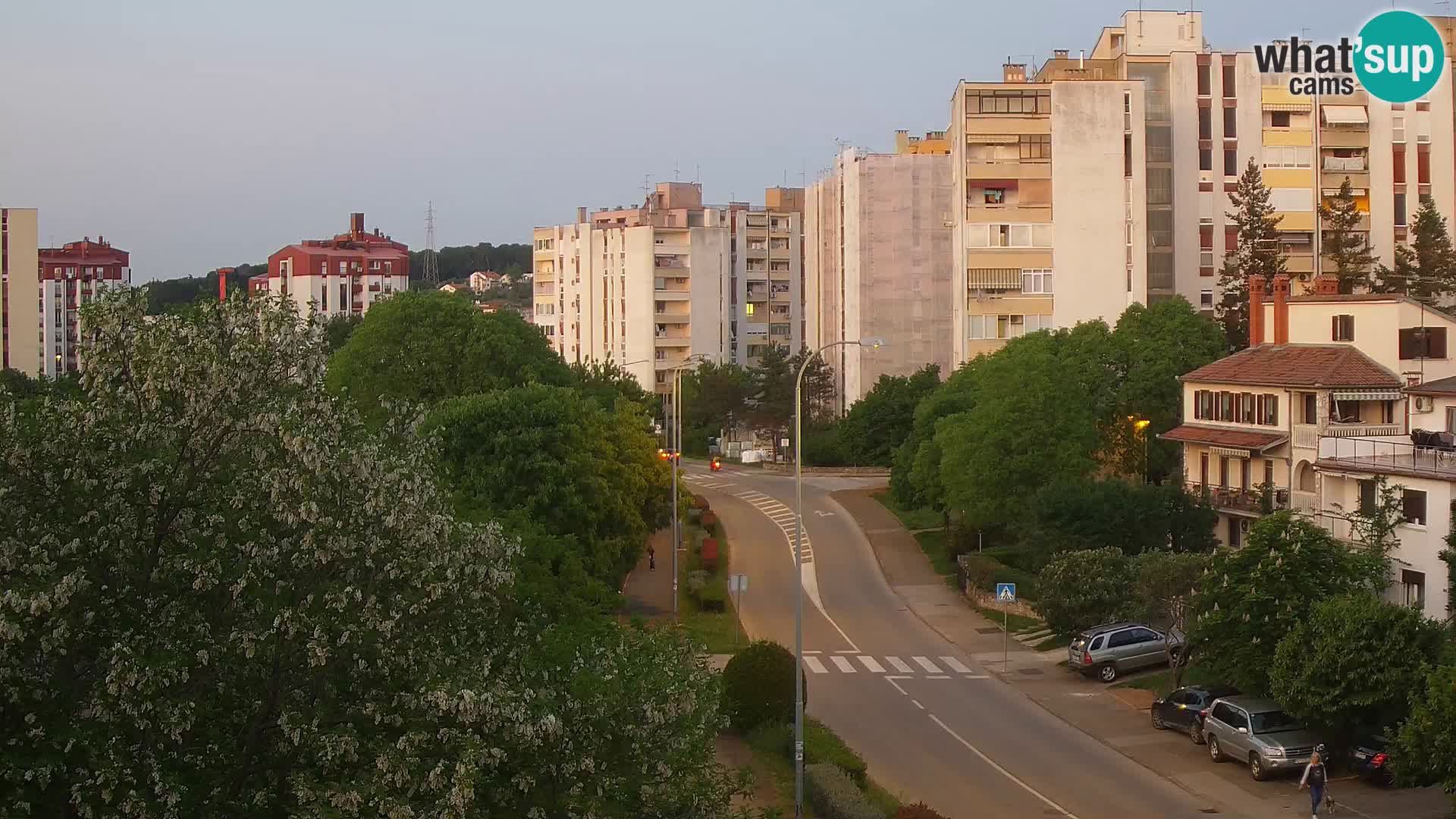 Webcam Pula – Rue Koper – Caméra en direct Istrie