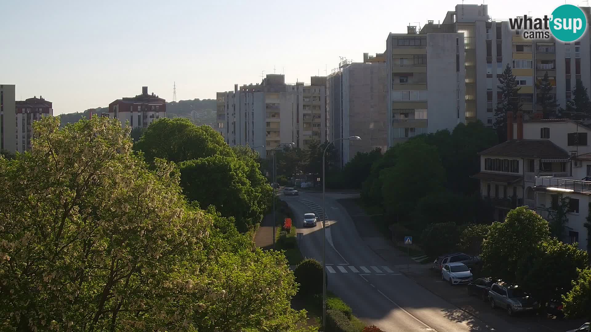 Webcam Pula – Rue Koper – Caméra en direct Istrie