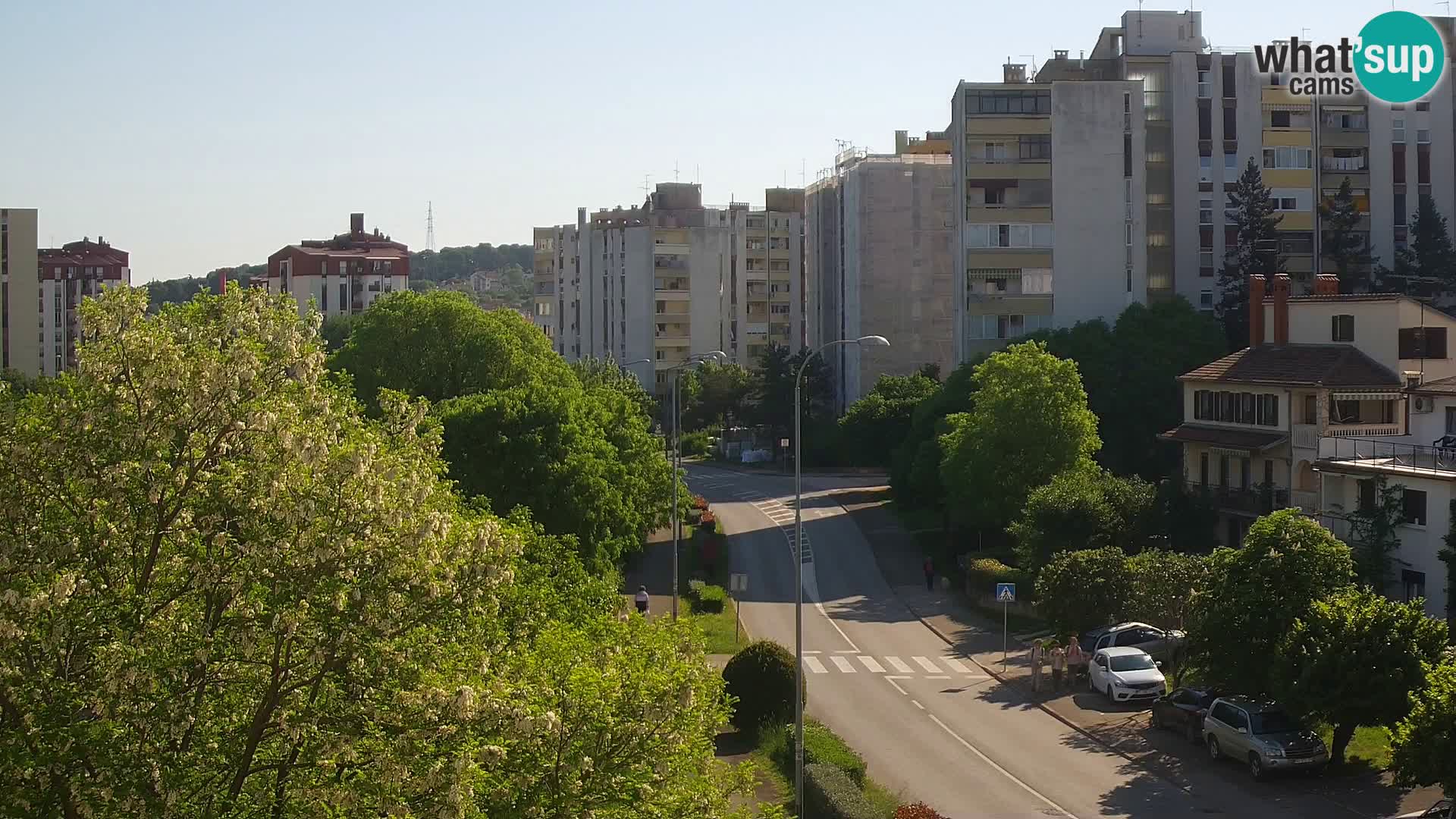 Webcam Pula – Rue Koper – Caméra en direct Istrie