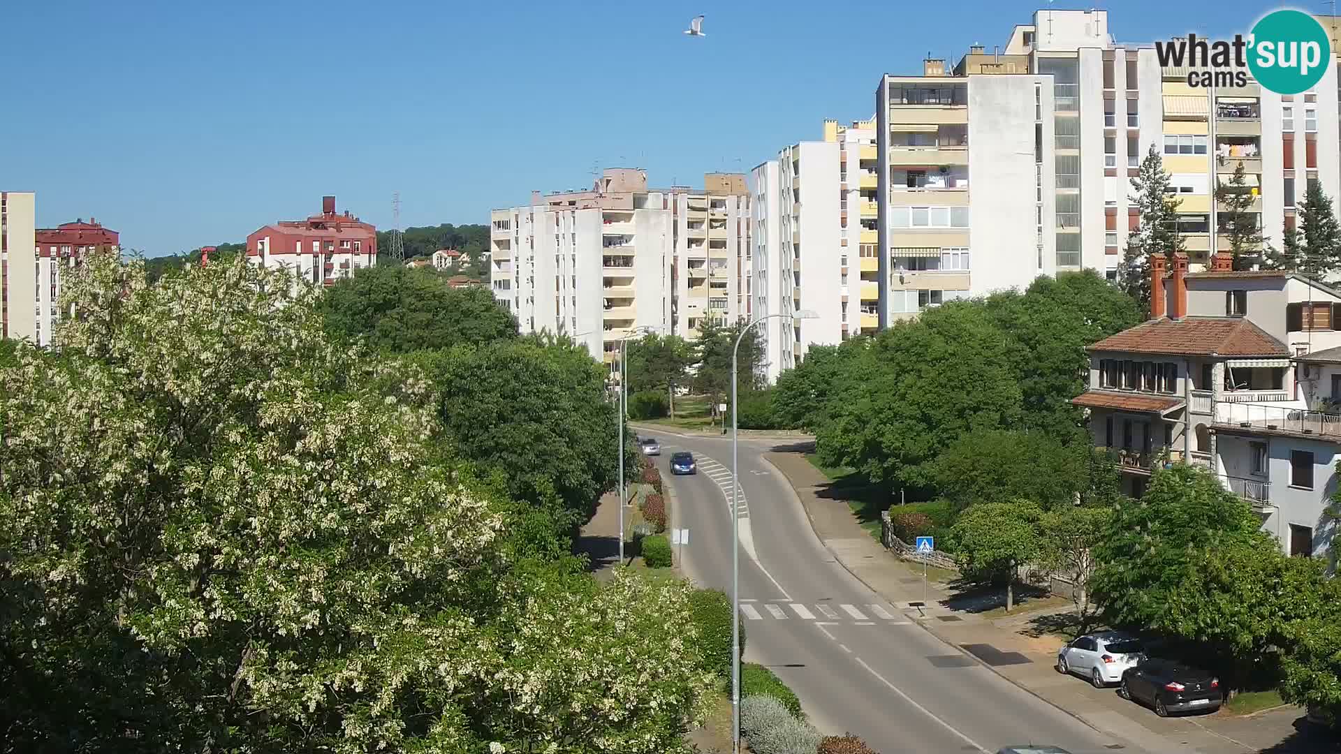 Pula Webcam – Koper Straße – Live Cam Istrien