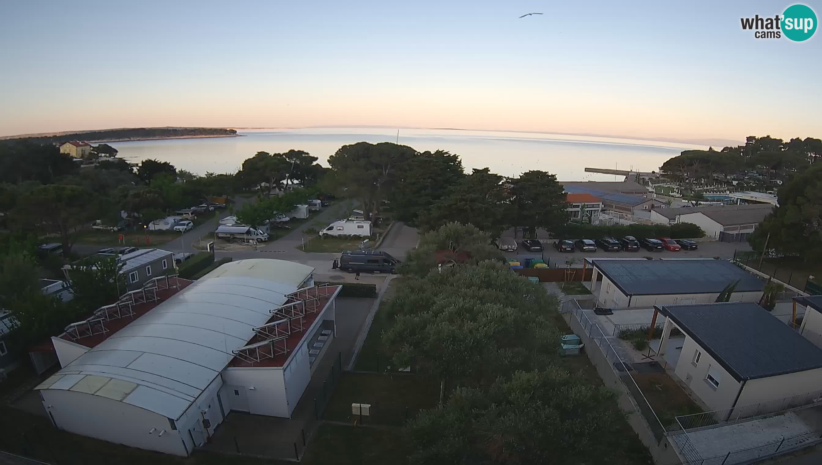 Banjol camera en vivo Rab – Deltas Apartmani