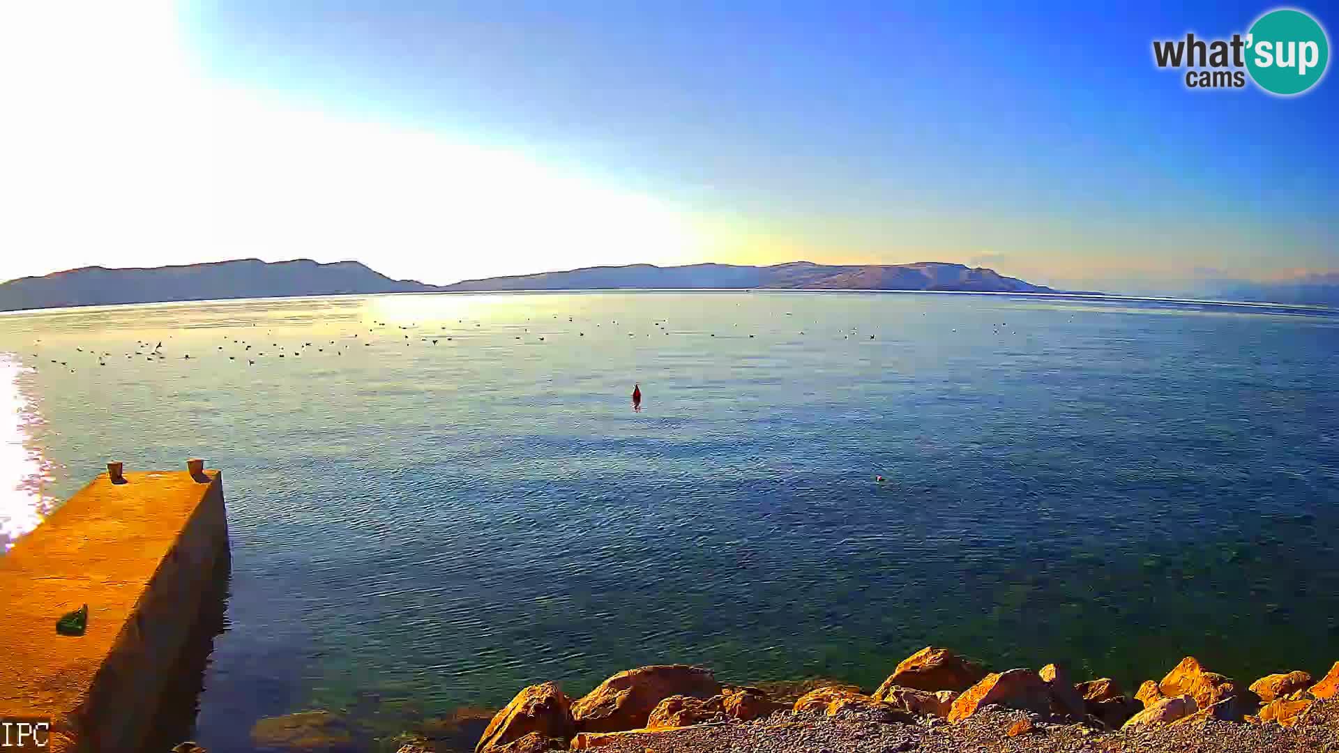 Campeggio Rača – Sveti Juraj