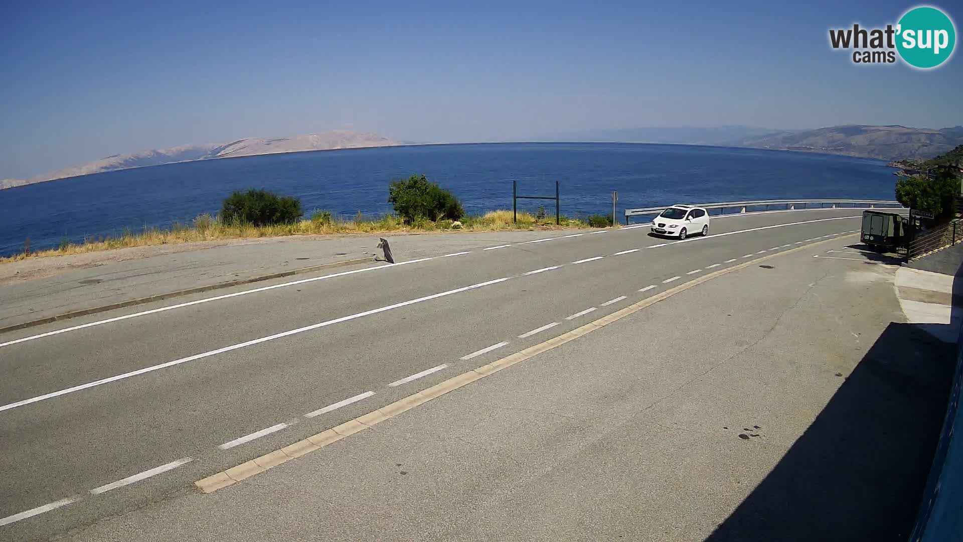 Webcam autopista adriática D8 cerca de SENJ – vista de la isla de KRK