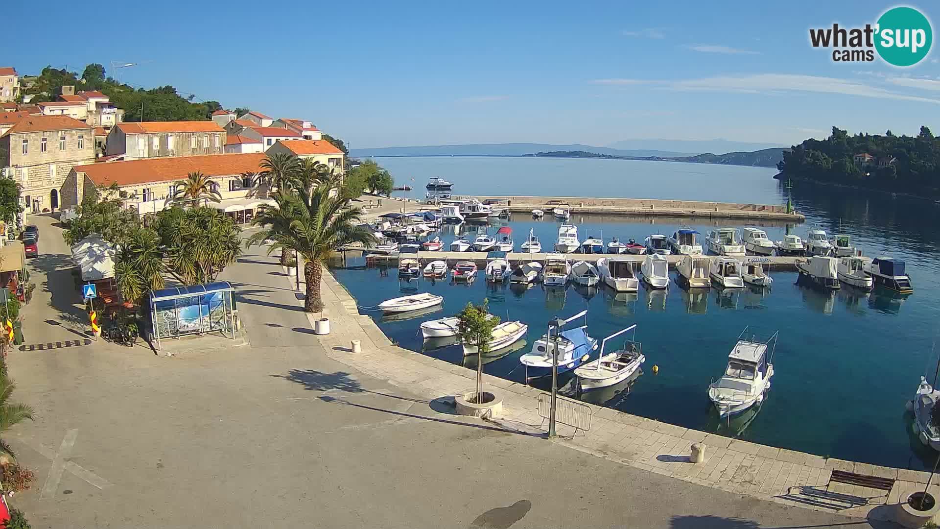 Račišće – isola di Curzola