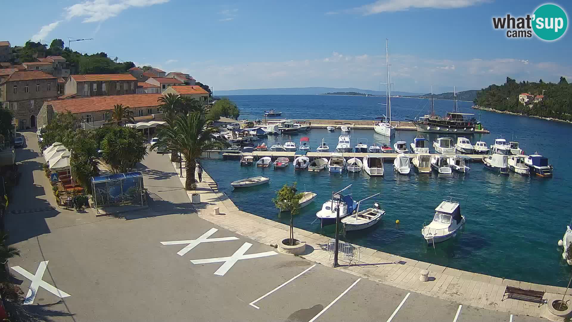 Račišće – isola di Curzola