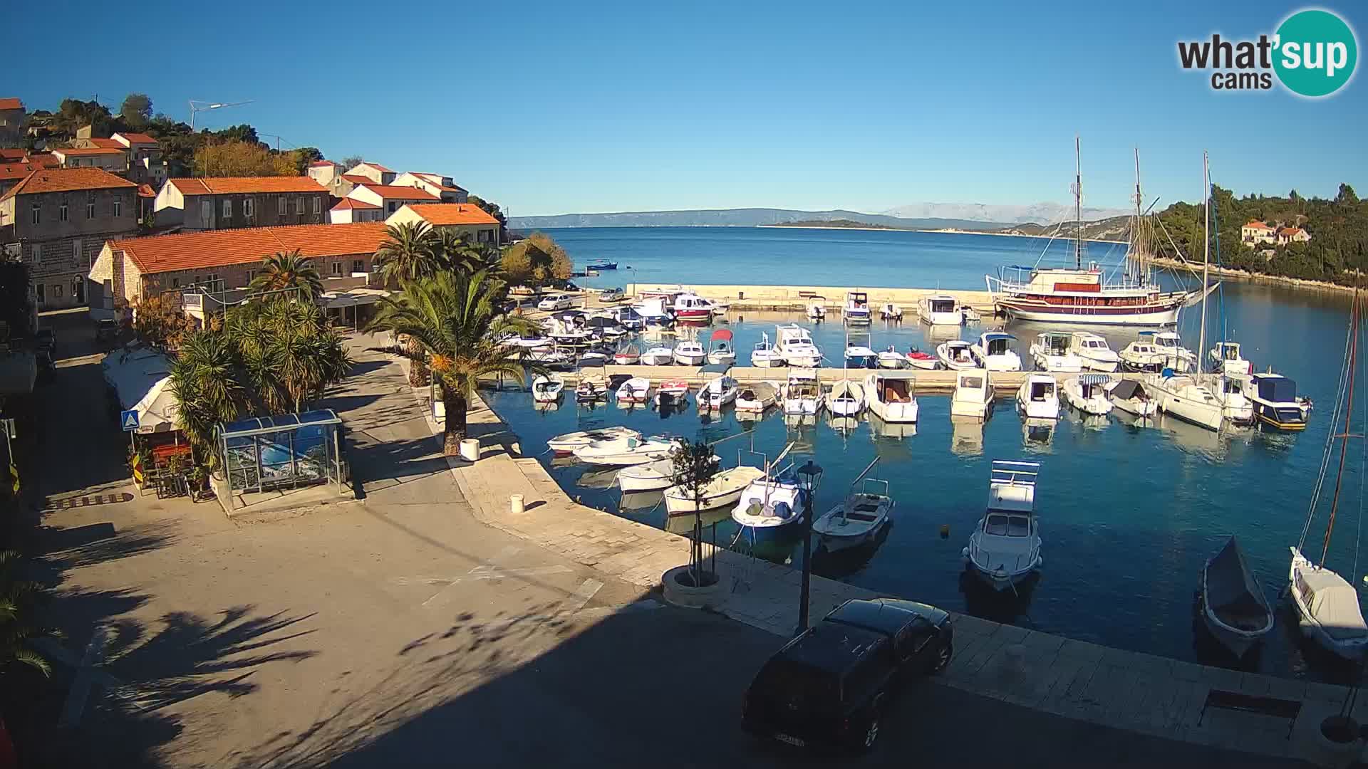 Račišće – isola di Curzola