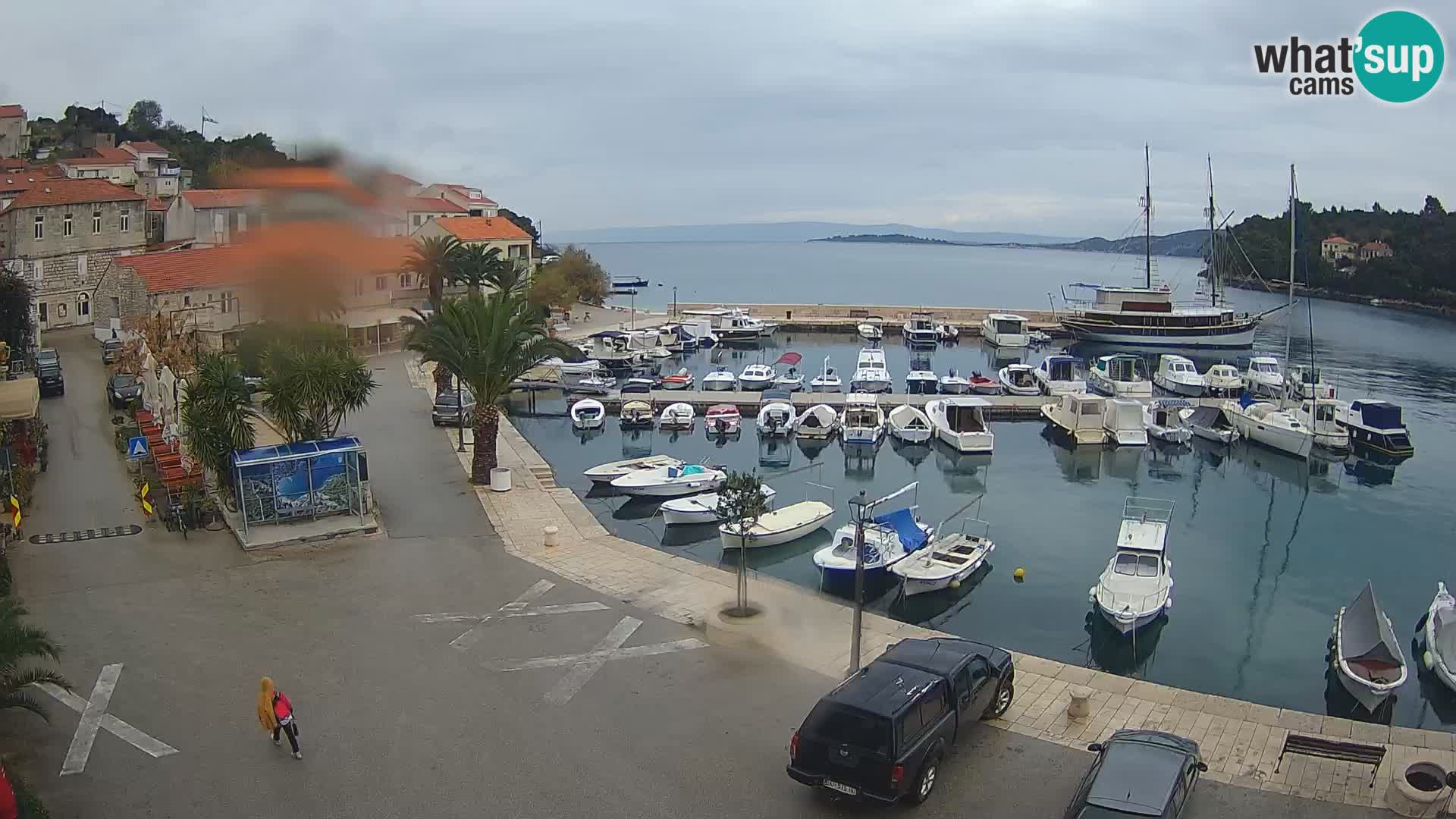 Račišće – otok Korčula