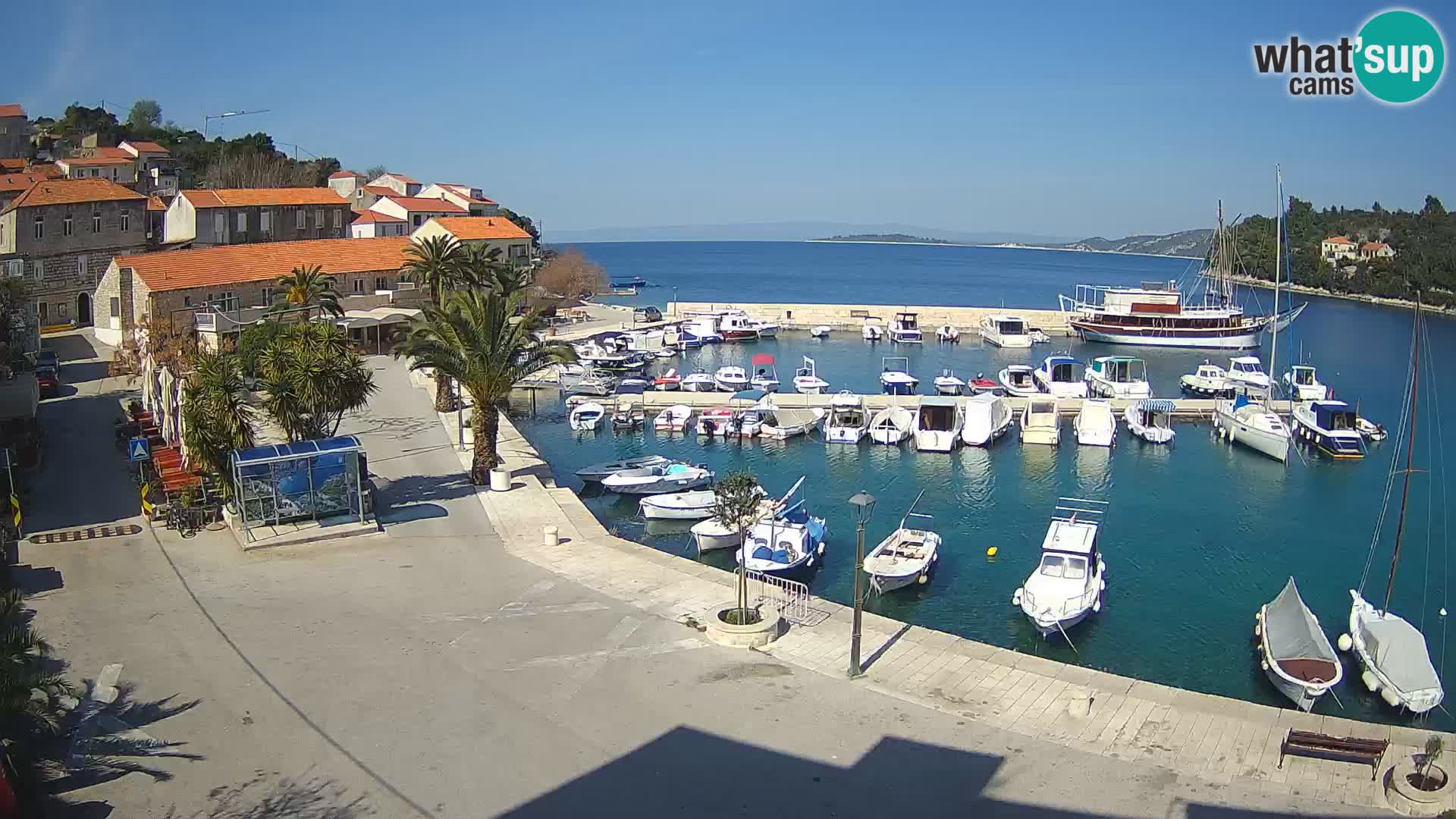 Račišće – Korčula isla