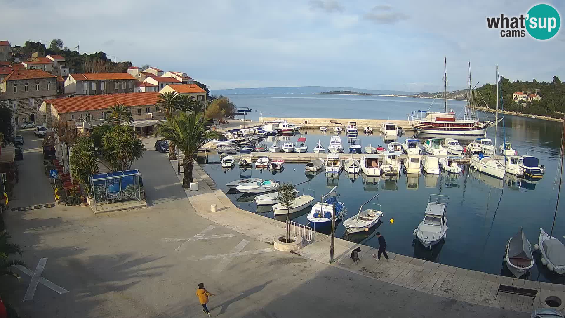 Račišće – isola di Curzola