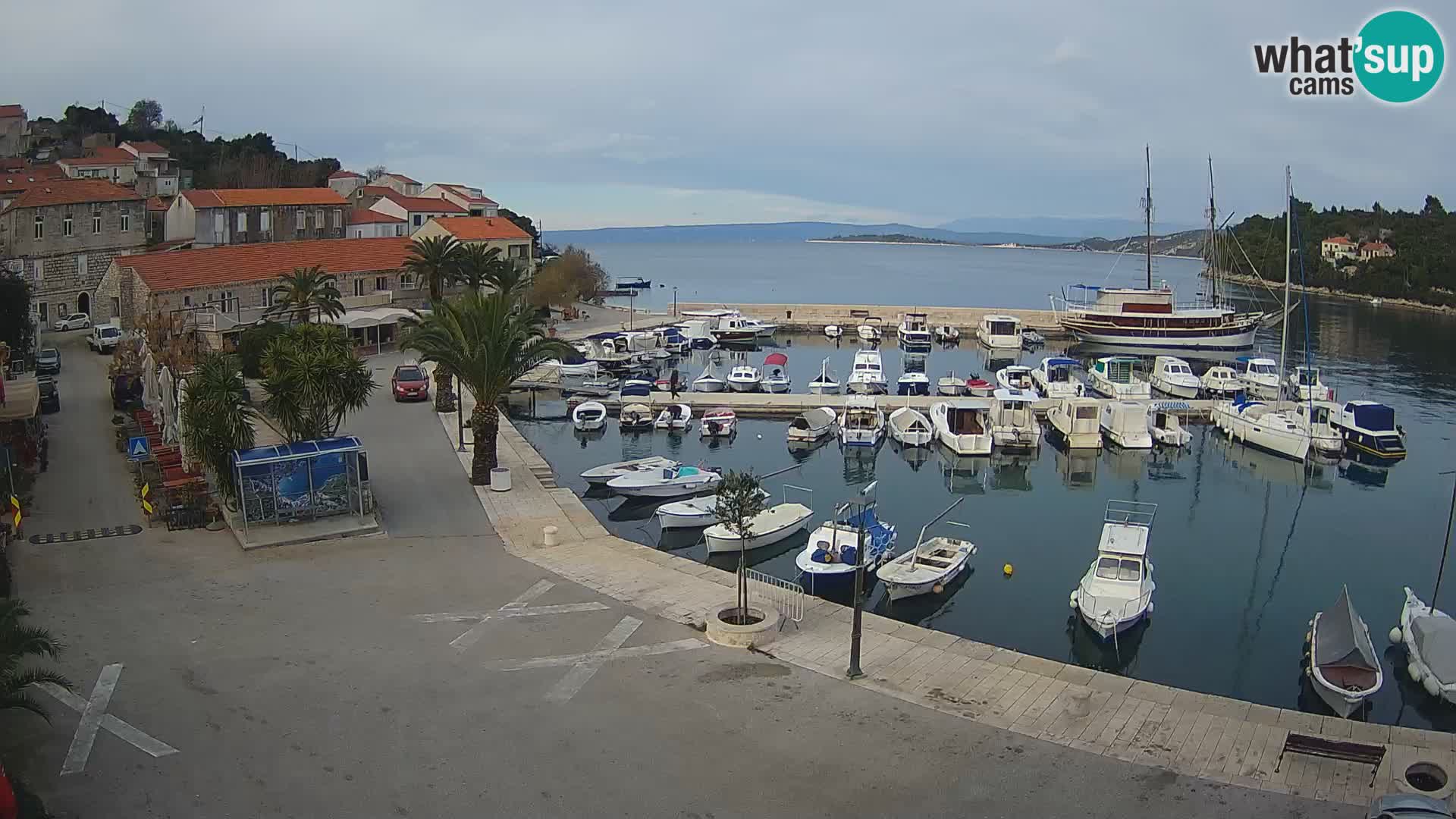 Račišće – isola di Curzola