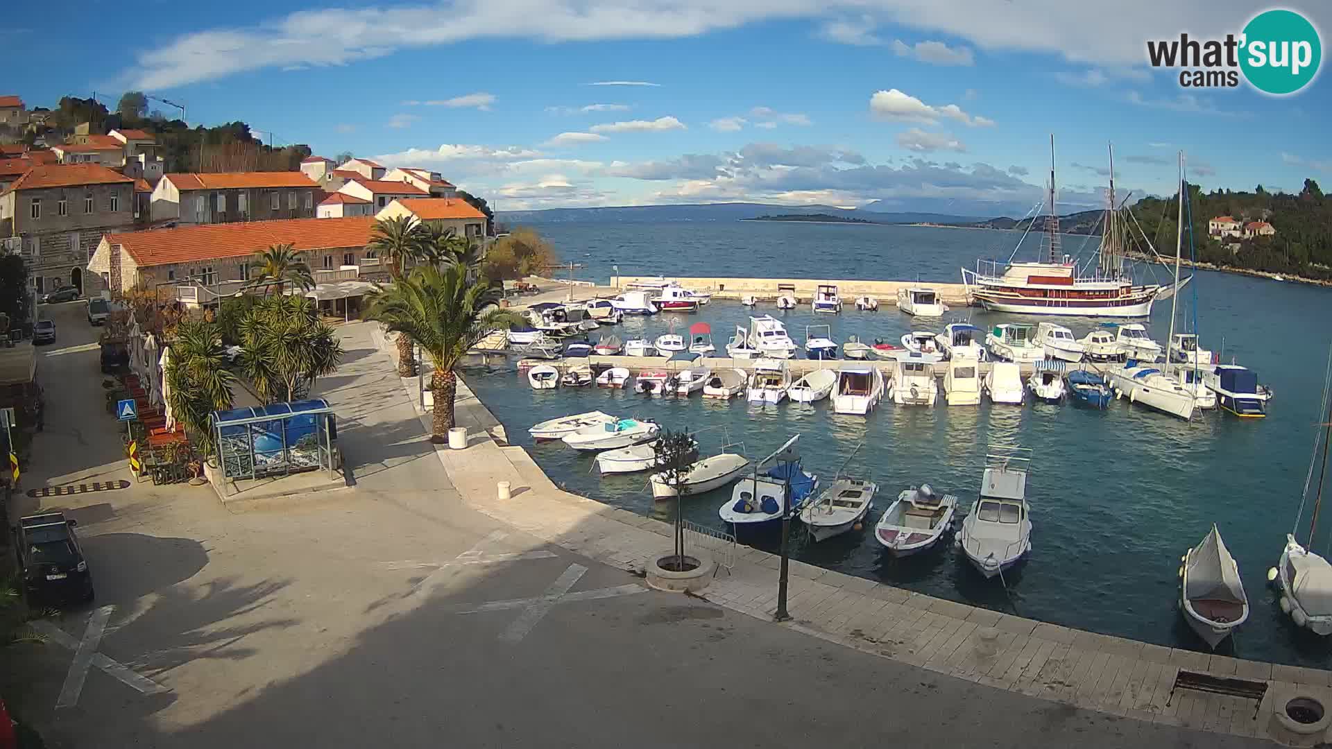 Račišće – isola di Curzola