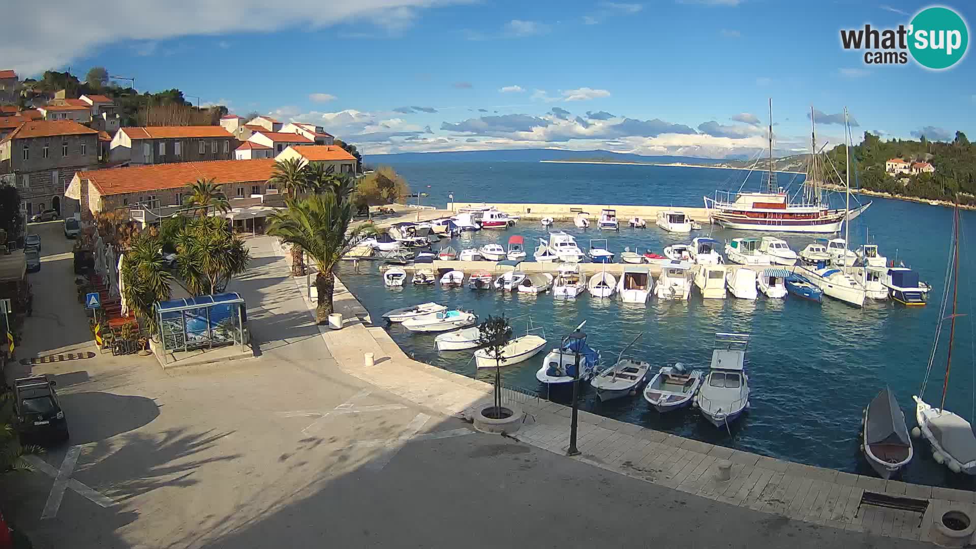 Račišće – isola di Curzola