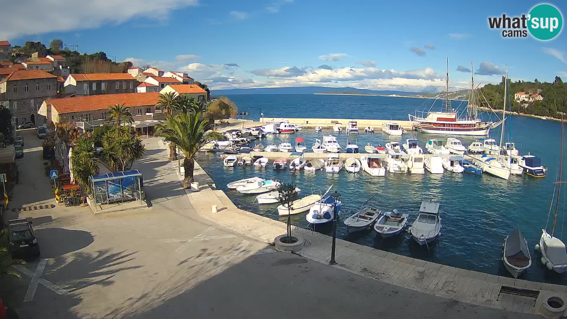 Račišće – isola di Curzola