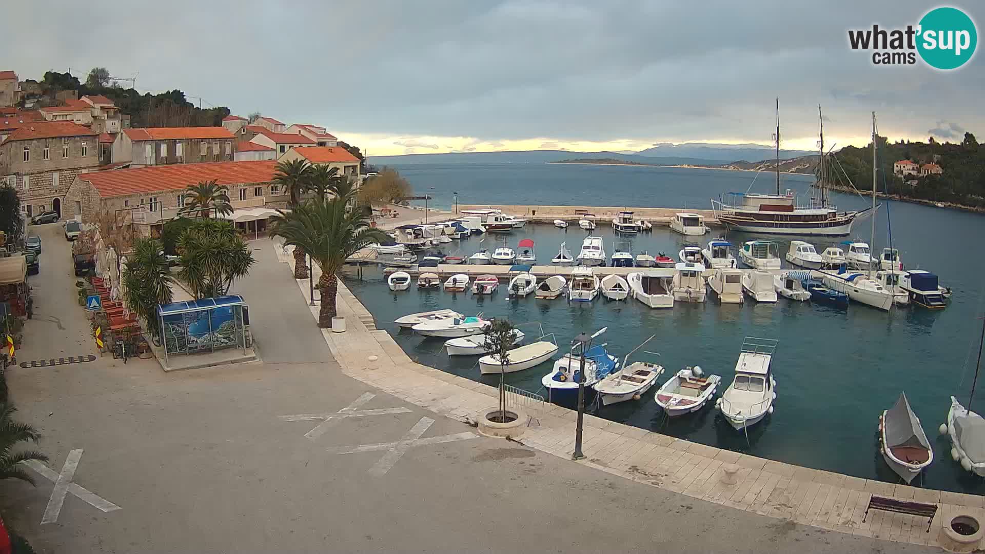 Račišće – isola di Curzola