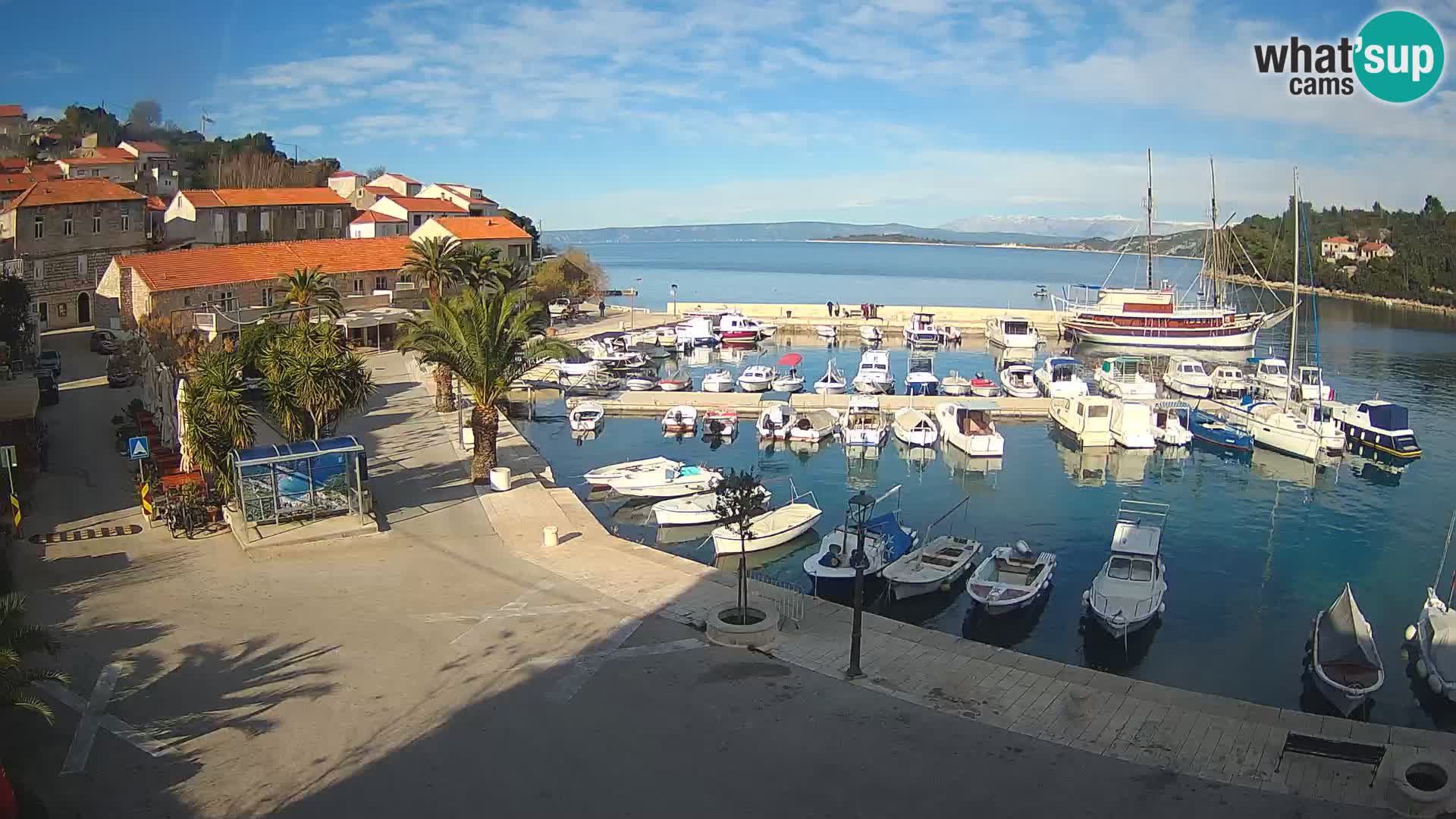 Račišće – isola di Curzola