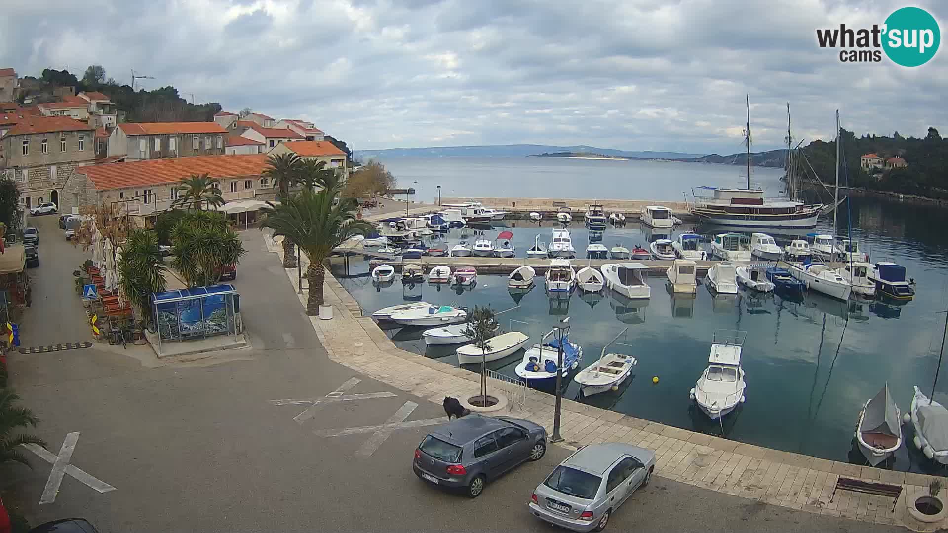 Račišće – Korčula île