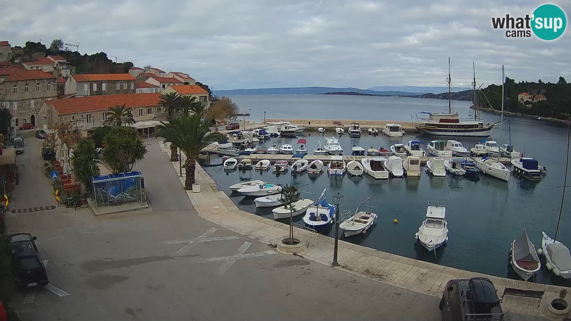 Račišće – isola di Curzola