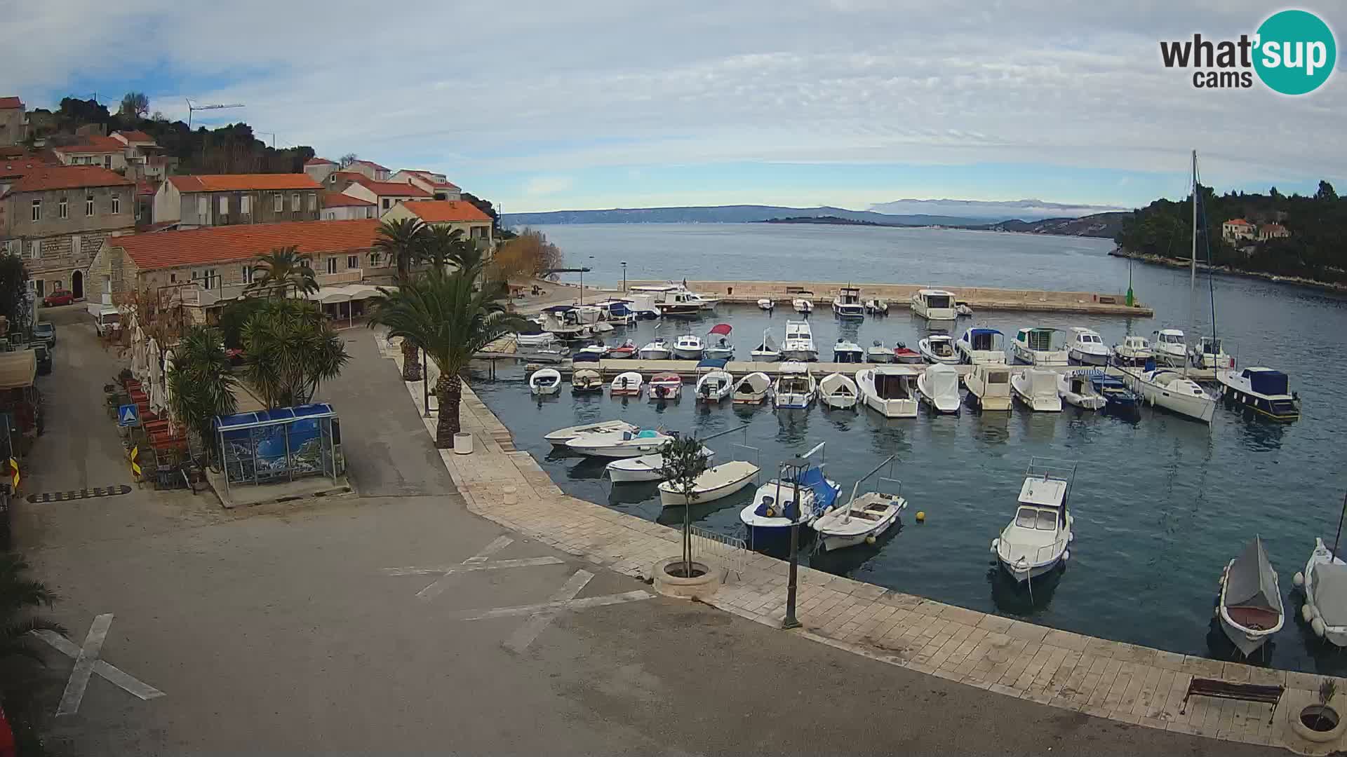 Račišće – Korčula isla