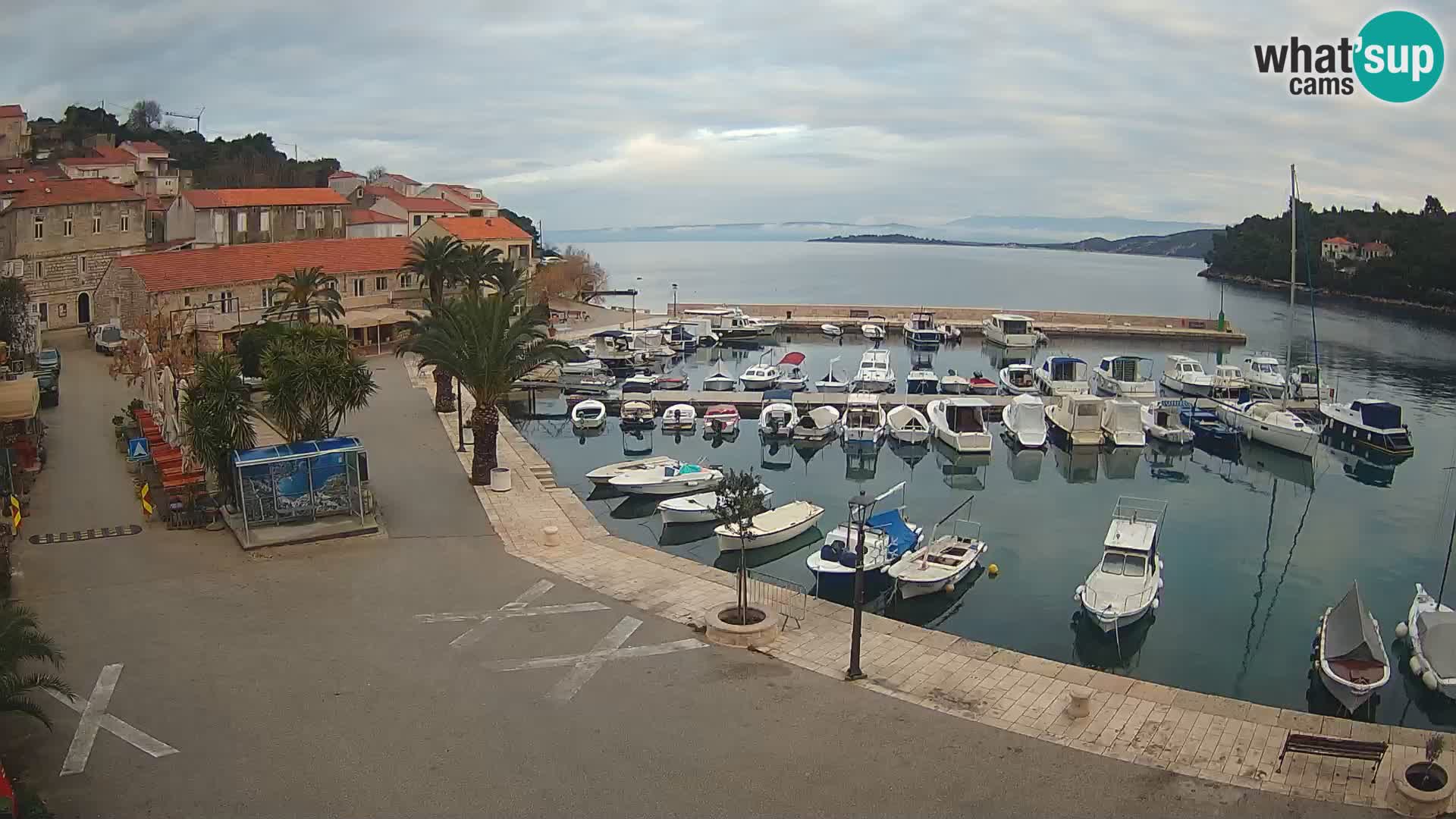 Račišće – otok Korčula