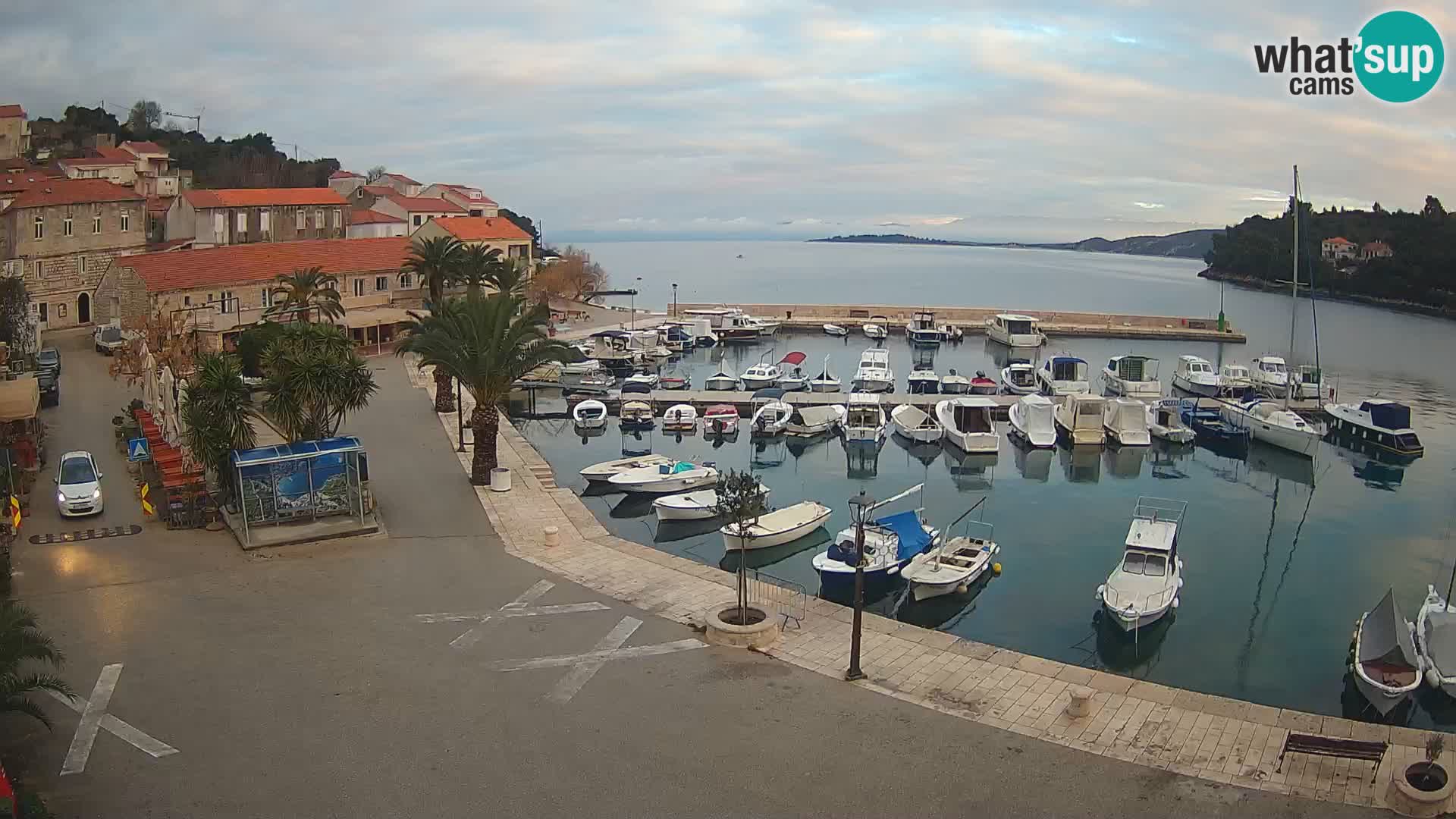 Račišće – isola di Curzola