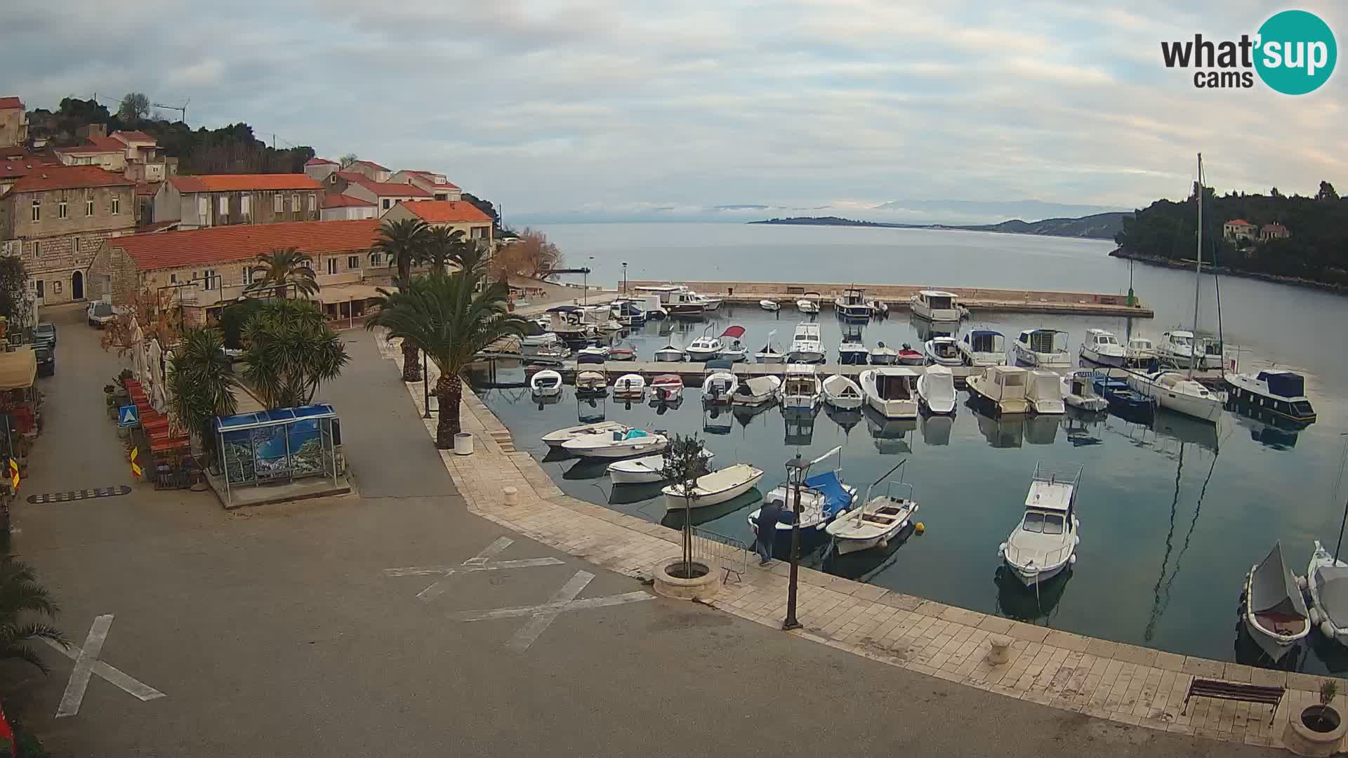 Račišće – Korčula isla