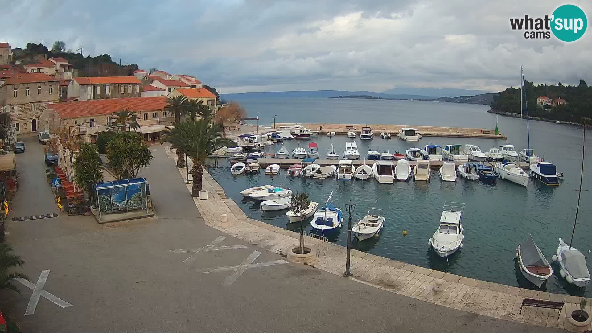 Račišće – isola di Curzola