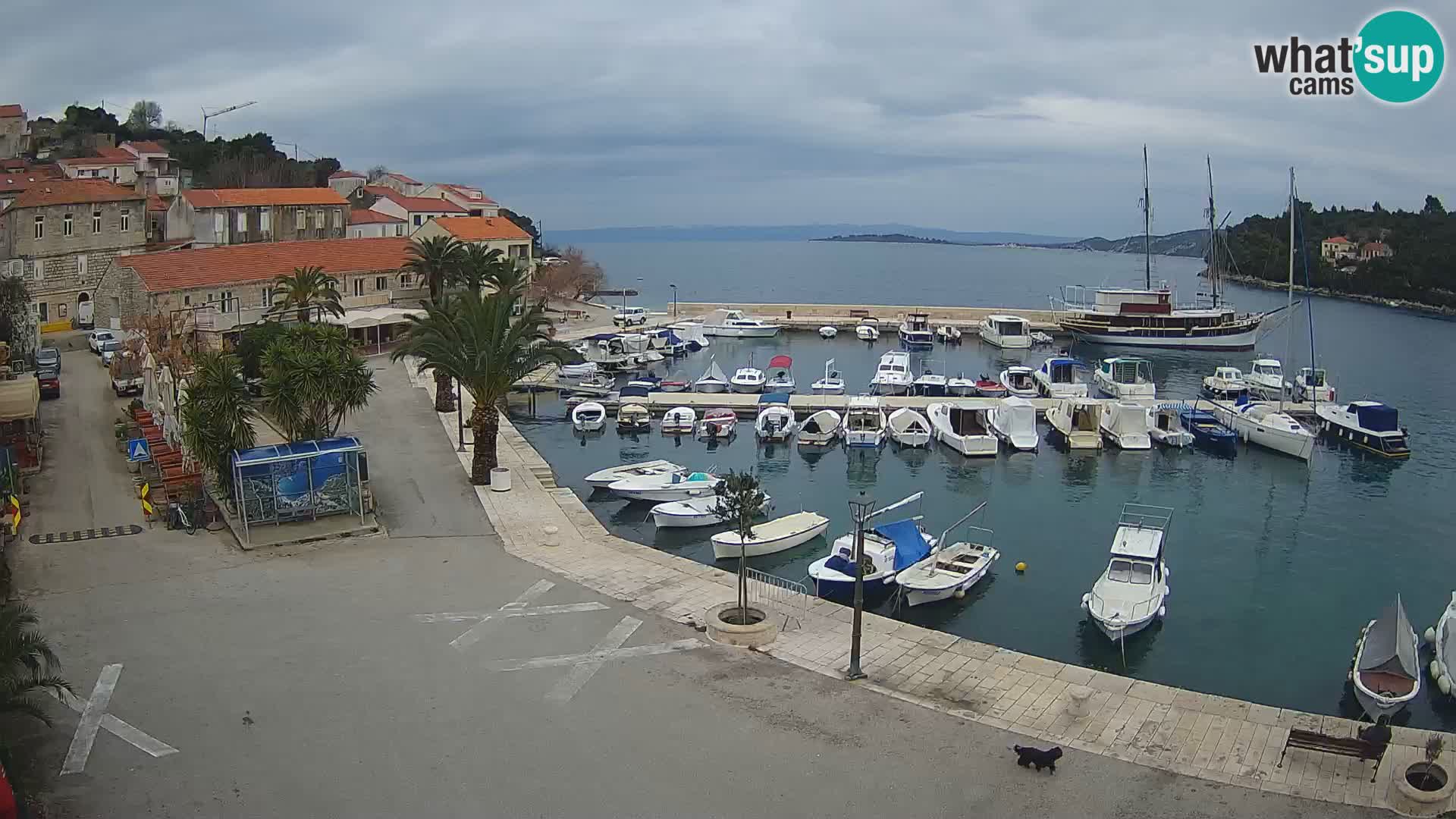 Račišće – Korčula île