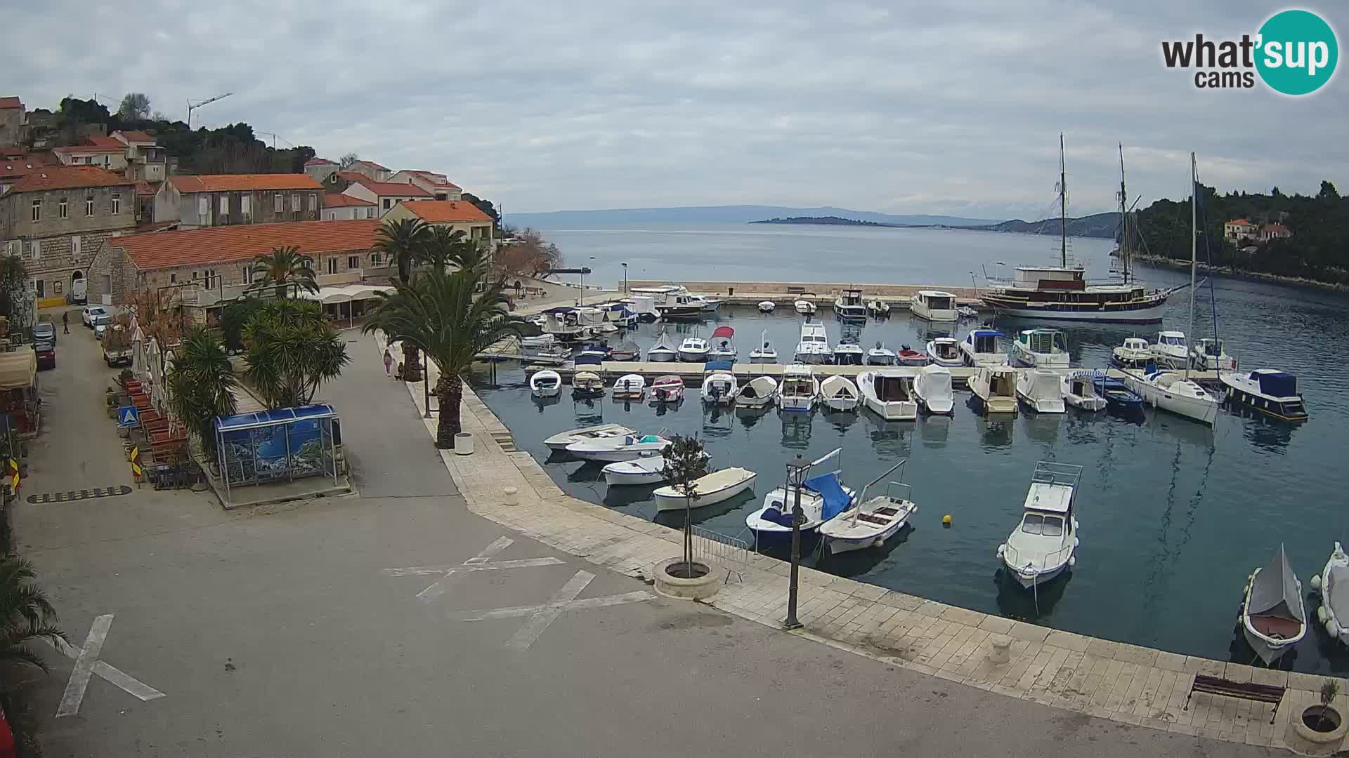 Račišće – isola di Curzola