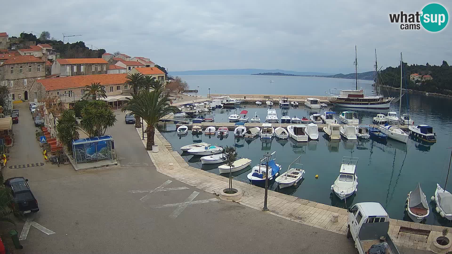 Račišće – isola di Curzola