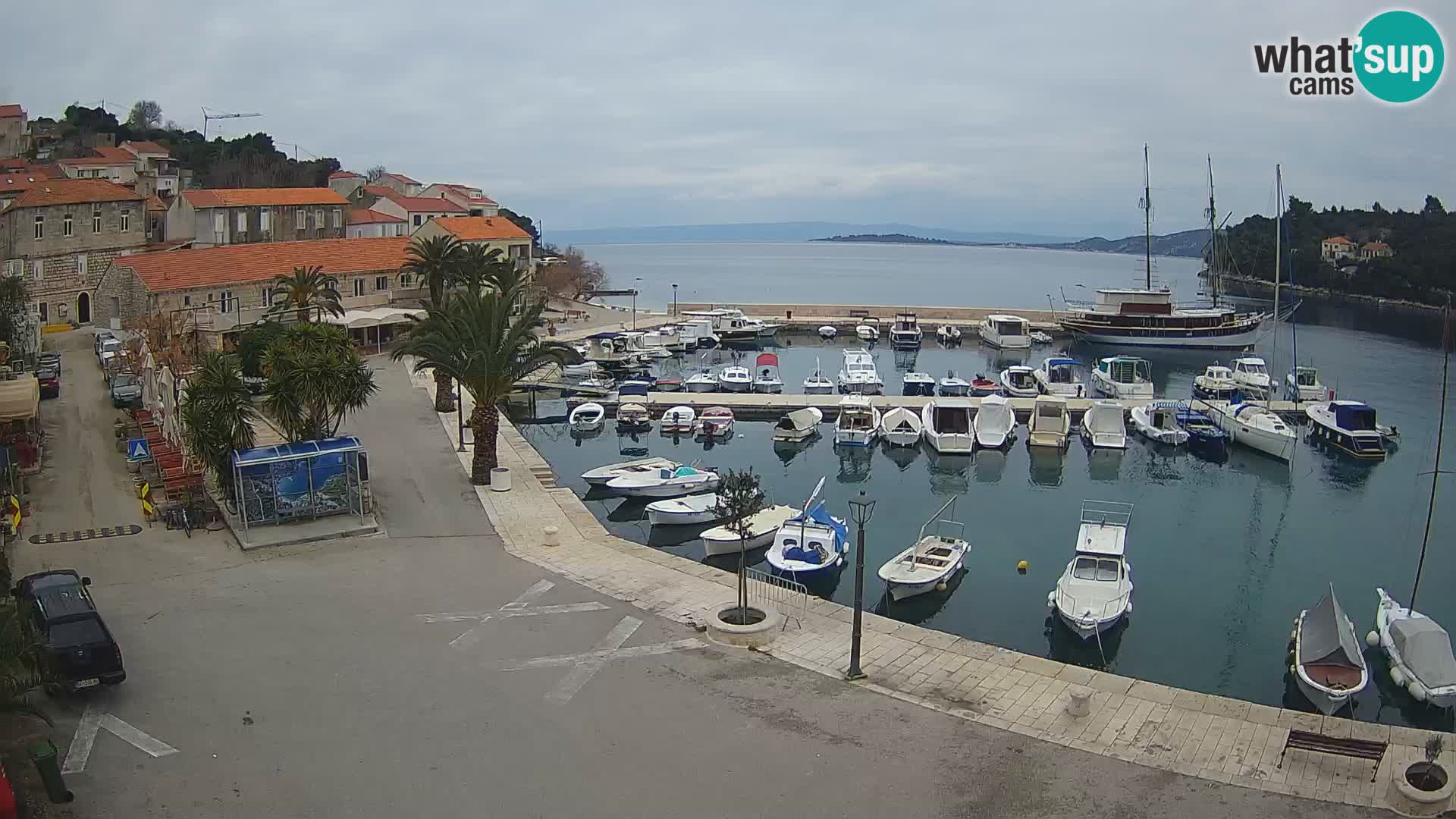 Račišće – isola di Curzola