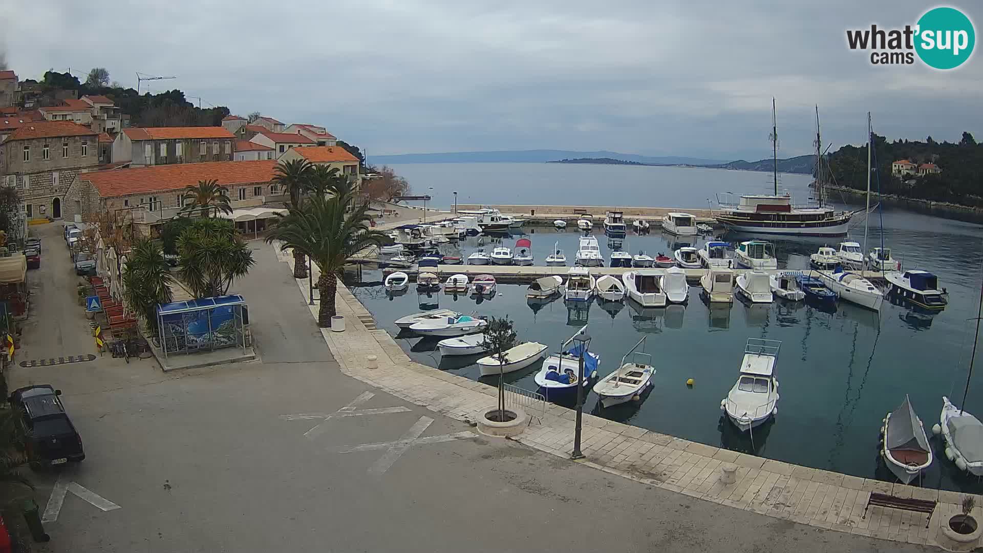 Račišće – isola di Curzola