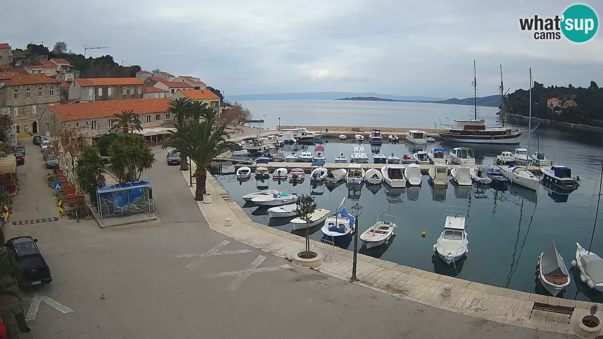 Račišće – isola di Curzola