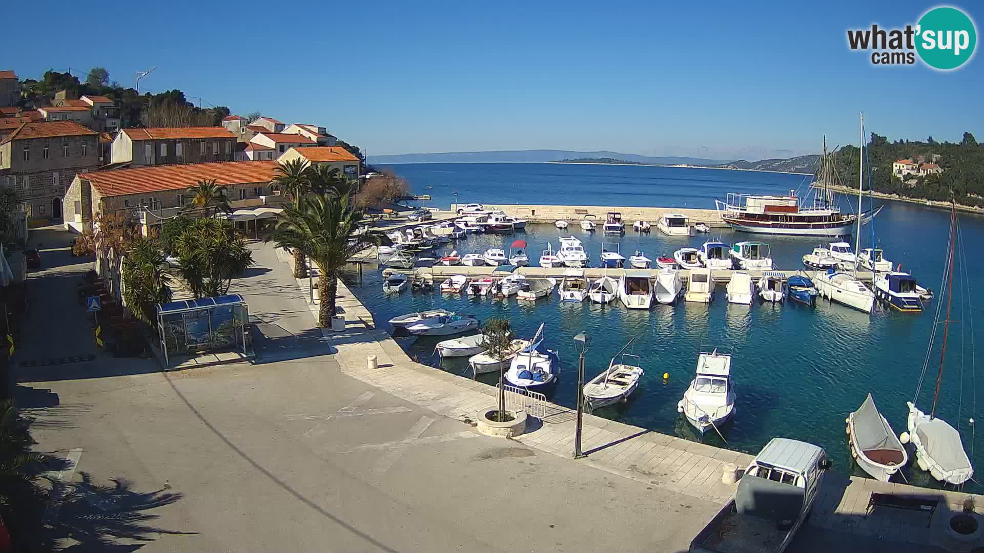 Račišće – otok Korčula