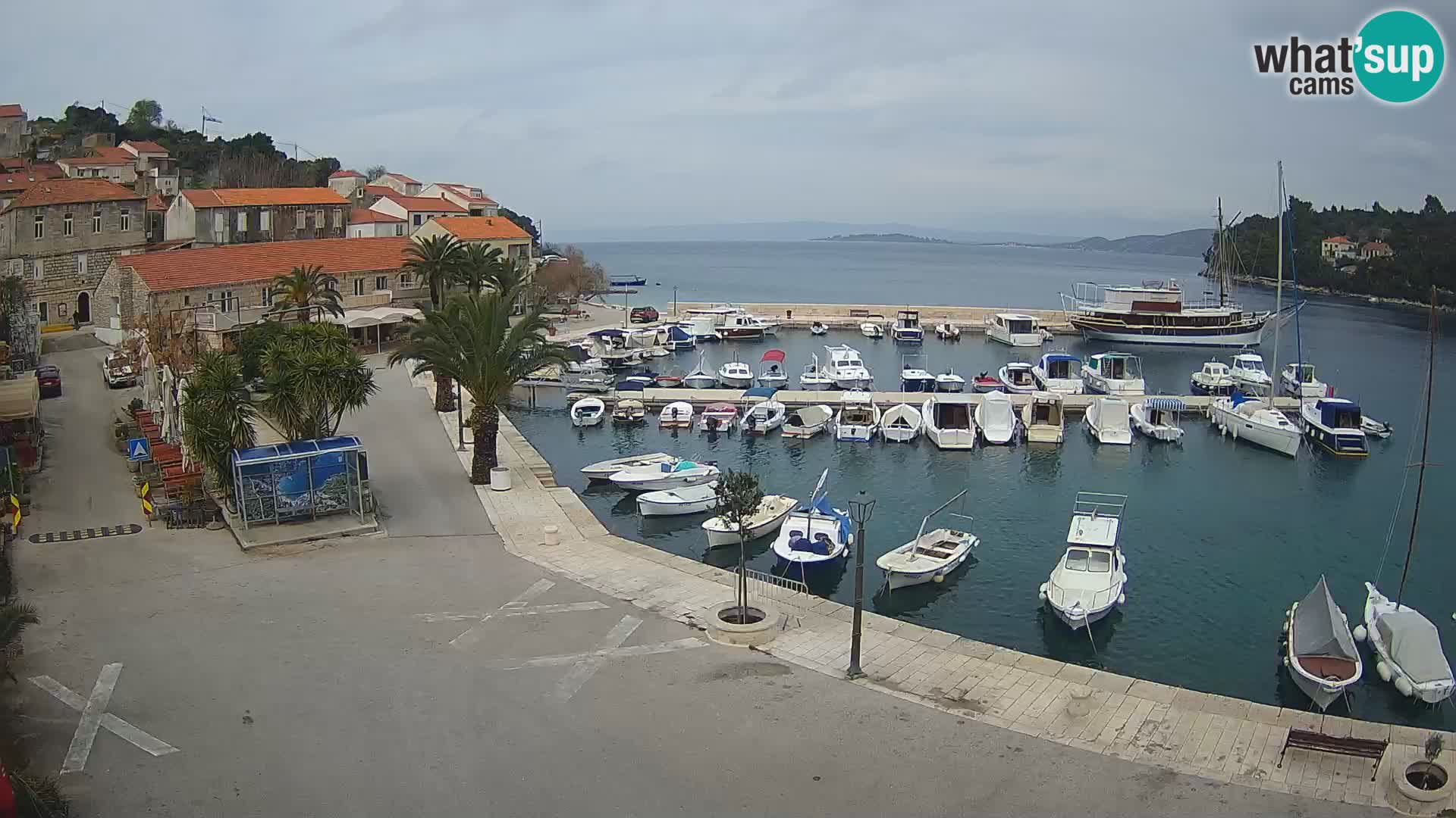 Račišće – otok Korčula