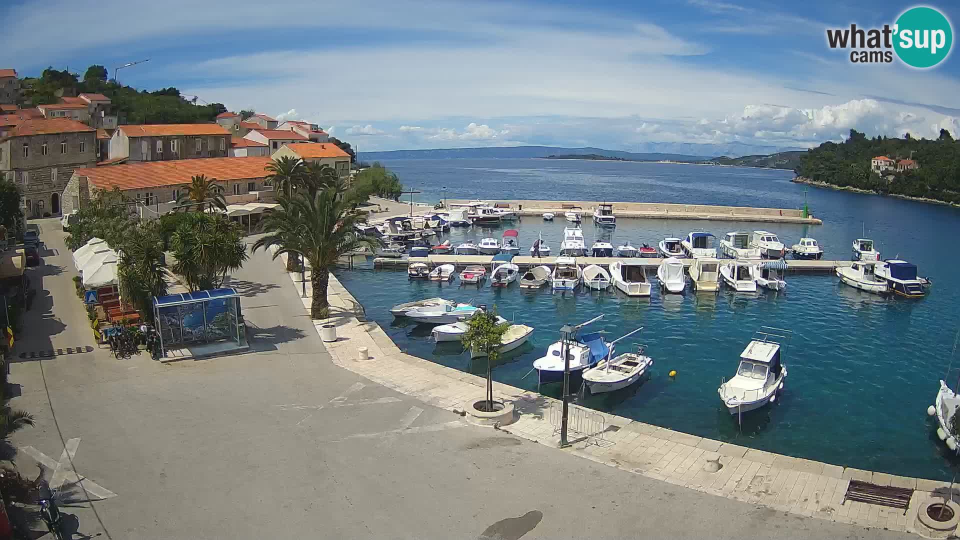 Račišće – otok Korčula